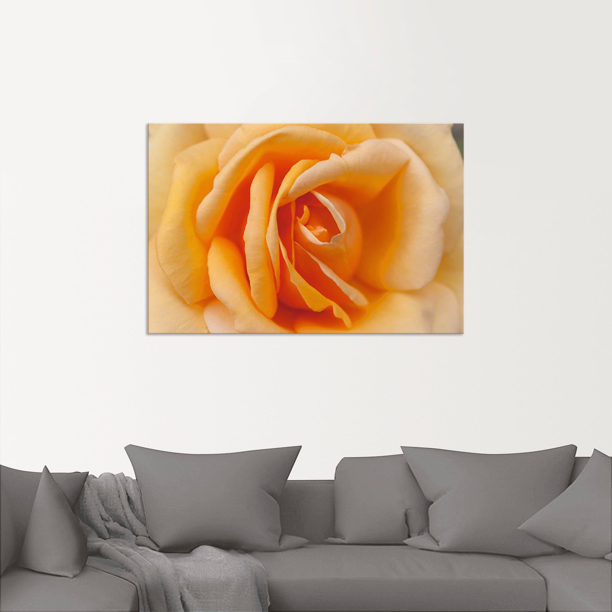 Artland Wandbild Größen oder Orange, St), versch. Wandaufkleber Poster (1 Alubild, Blumenbilder in als Zarte in Rose Leinwandbild