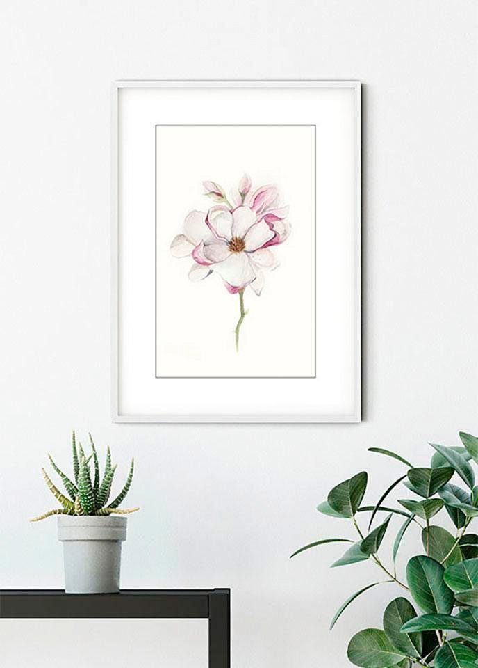 Komar Bild Magnolia Blossom, Blumen (1 St), Wandbild zur Dekoration - ohne Rahmen
