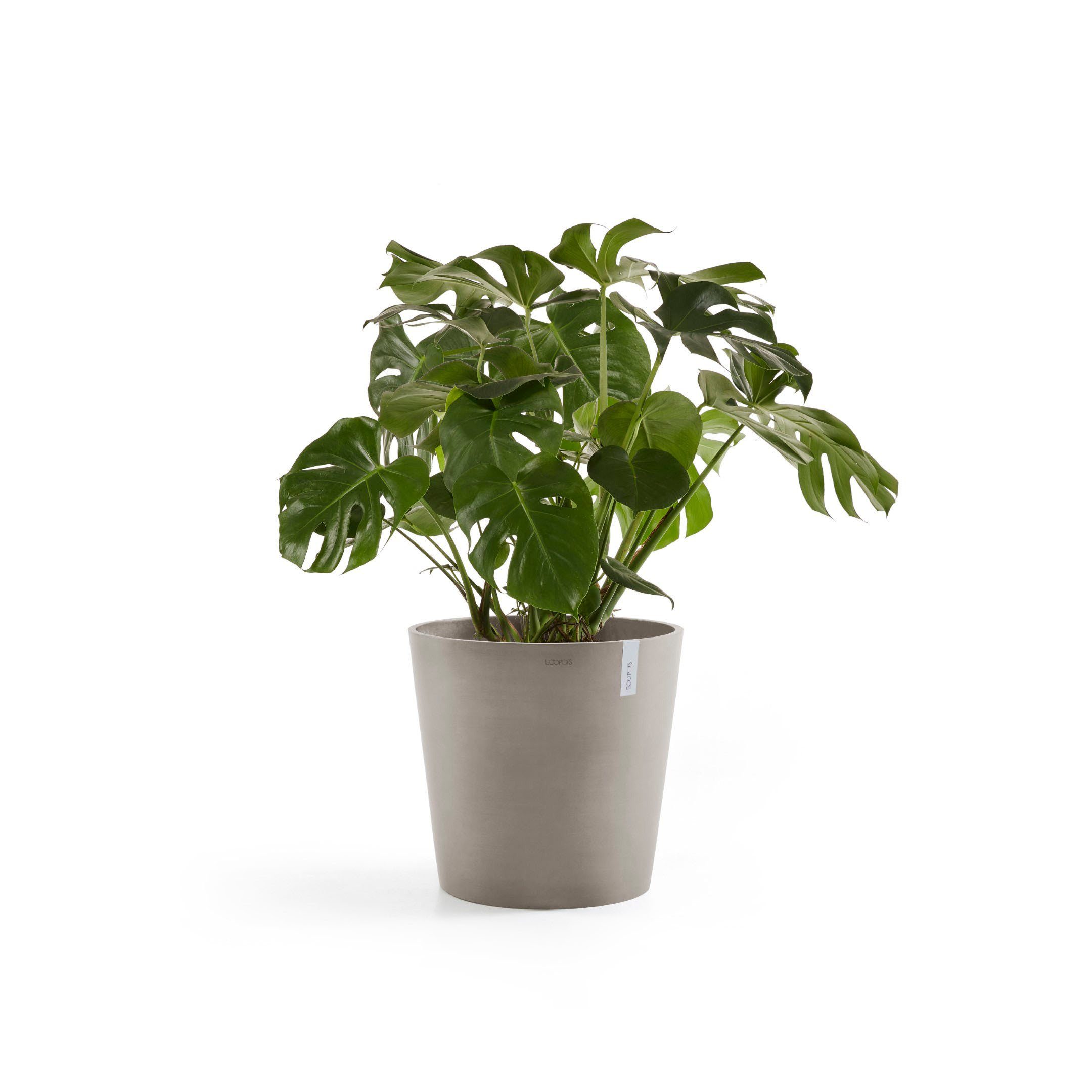 ECOPOTS Blumentopf Amsterdam, ØxH: 50x43,8 cm günstig online kaufen