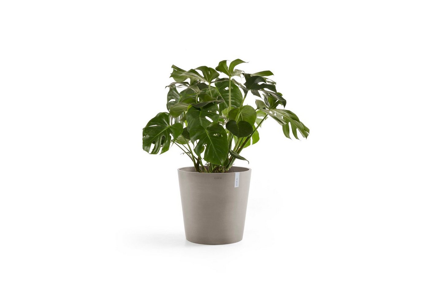 Thumbnail - ECOPOTS Blumentopf Amsterdam, ØxH: 50x43,8 cm