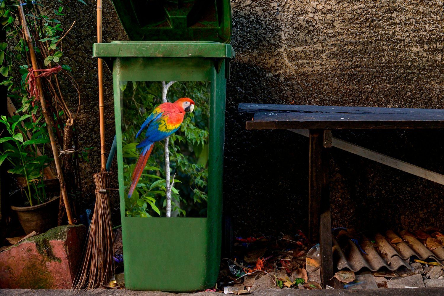 MuchoWow Wandsticker Wäldern (1 Sticker, des Manu-Nationalparks in Peru Bunter Mülleimer-aufkleber, St), Papagei Abfalbehälter Container, den Mülltonne, in