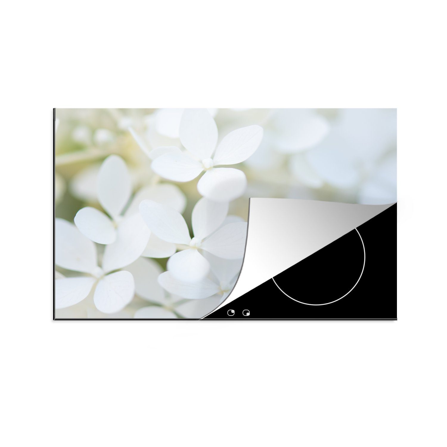 MuchoWow Herdblende-/Abdeckplatte Beruhigendes Bild einer weißen Hortensie, Vinyl, (1 tlg), 81x52 cm, Induktionskochfeld Schutz für die küche, Ceranfeldabdeckung