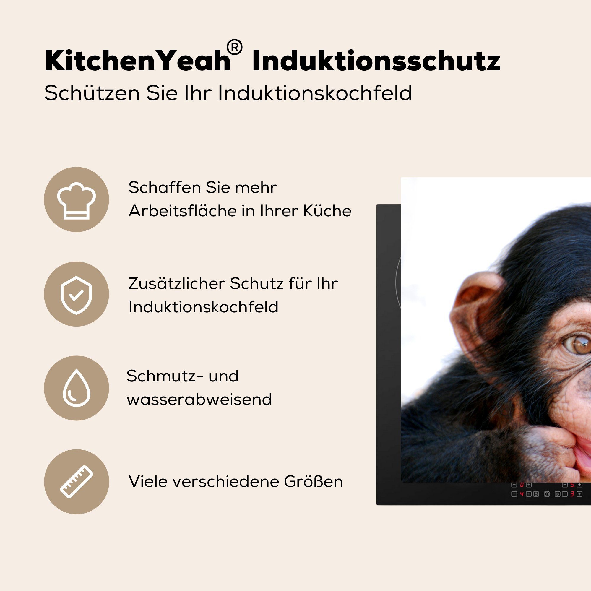 Induktionskochfeld Hintergrund, Vinyl, Affe Herdblende-/Abdeckplatte 81x52 (1 tlg), küche, Schutz Nahaufnahme MuchoWow gegen die cm, Ceranfeldabdeckung für Schimpanse weißen