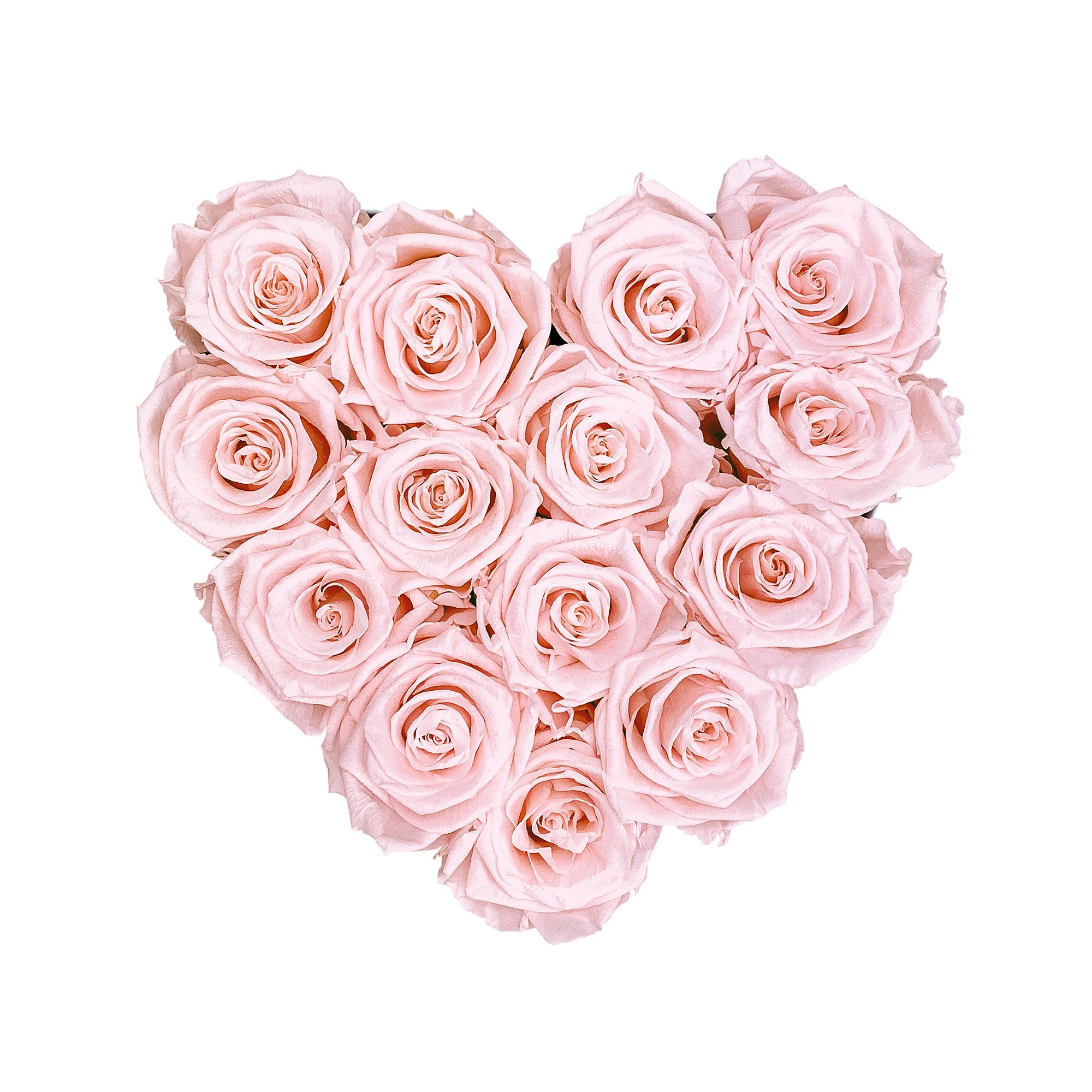 Jahre Höhe 3 Echte, cm Blush Rosenbox 10 Flowers, langlebigen Großes mit I duftende Holy Kunstblume Herz Blumen haltbar Rosen Pink Infinity Rosé konservierte Rose, I