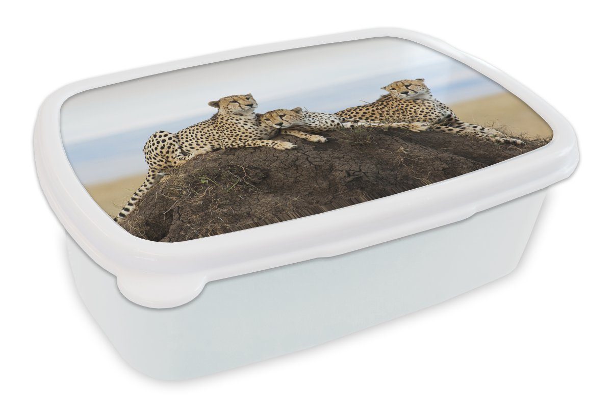 MuchoWow Lunchbox Drei Mädchen für Aussichtshügel, und Brotdose, weiß einem Kinder Geparden Erwachsene, Kunststoff, auf Jungs und Brotbox (2-tlg), für