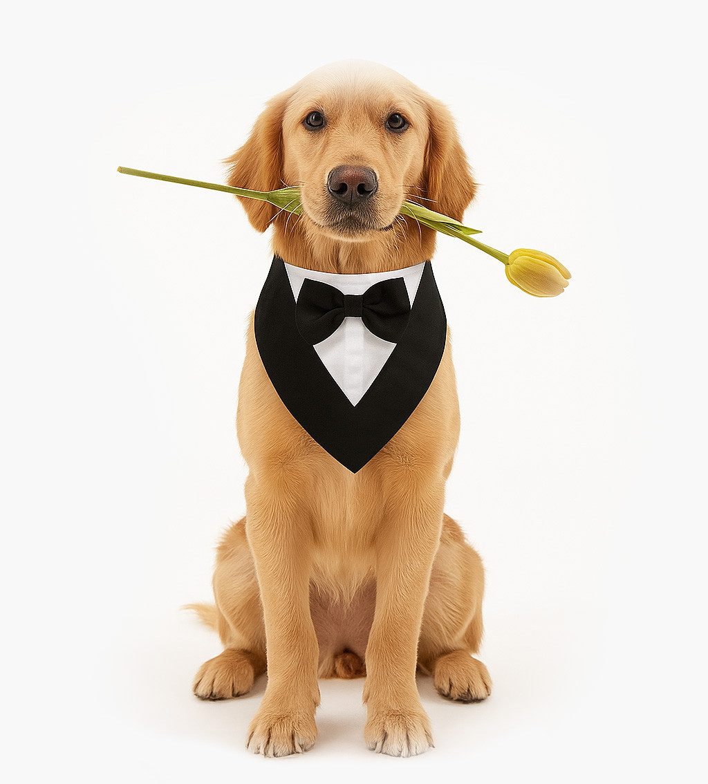 Corimori Hundekostüm Elegantes Smoking-Kostüm für Hund & Katze, Fotoshooting