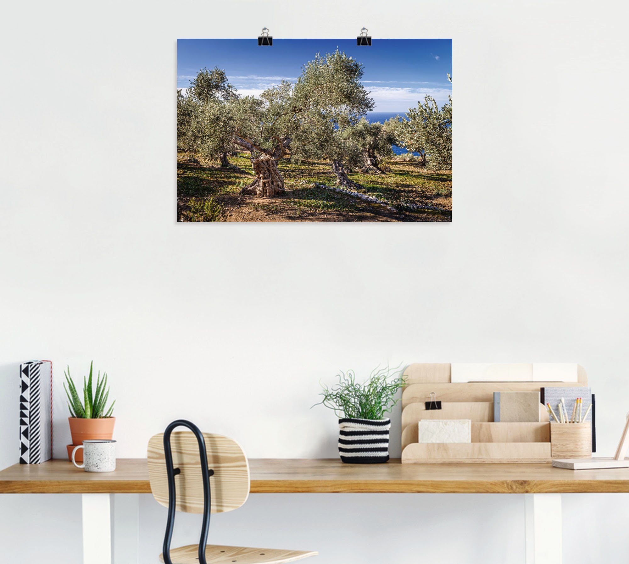 Poster (1 Größen Küstenbilder St), Artland der Wandbild versch. Olivenhain Alubild, de in als Leinwandbild, Tramuntana, Serra Wandaufkleber in oder