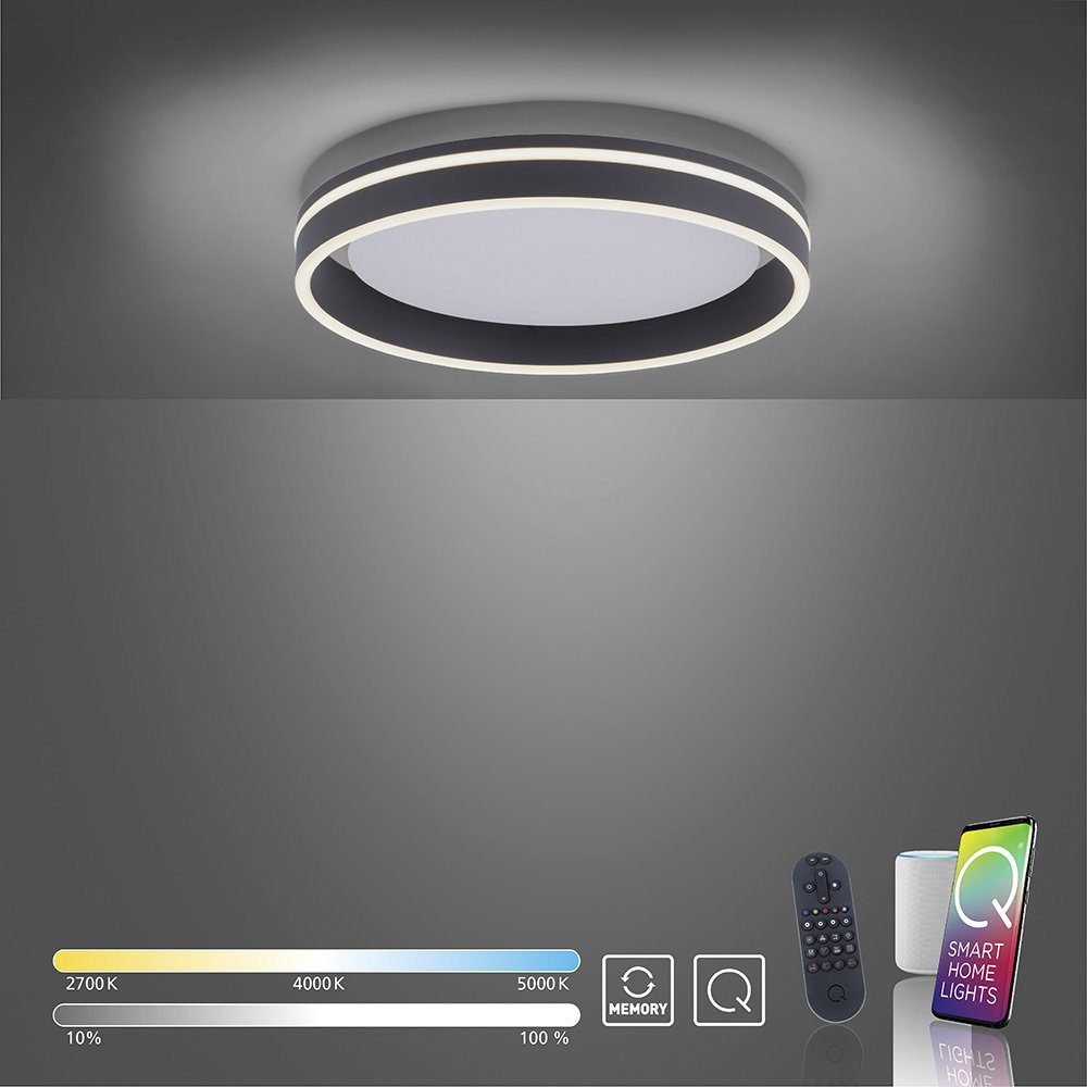 Paul Neuhaus Smarte LED-Leuchte LED Deckenleuchte rund Ø 40cm Q-Vito, Smart Home, CCT-Farbtemperaturwechsel, Dimmfunktion, Memoryfunktion, mit Leuchtmittel, CCT Lichttemperaturwechsel, dimmbar Fernbedienung anthrazit