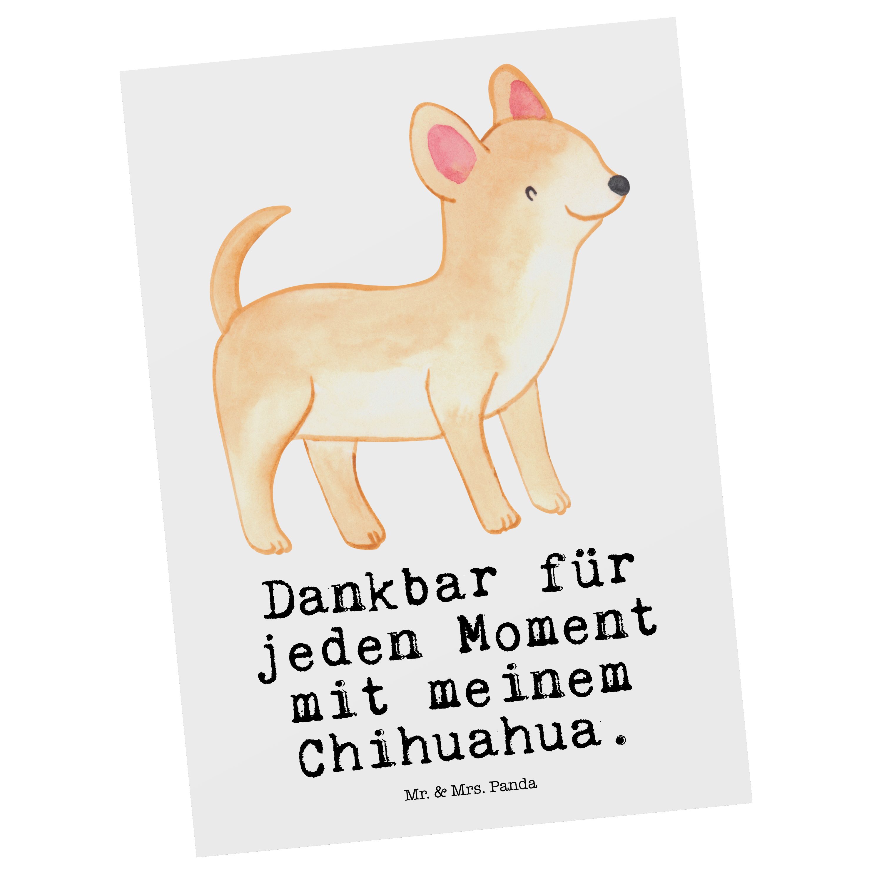 Hundebesitzer, Ansichtskarte, Ein Mrs. Weiß Moment Postkarte Chihuahua - Geschenk, Panda Mr. & -