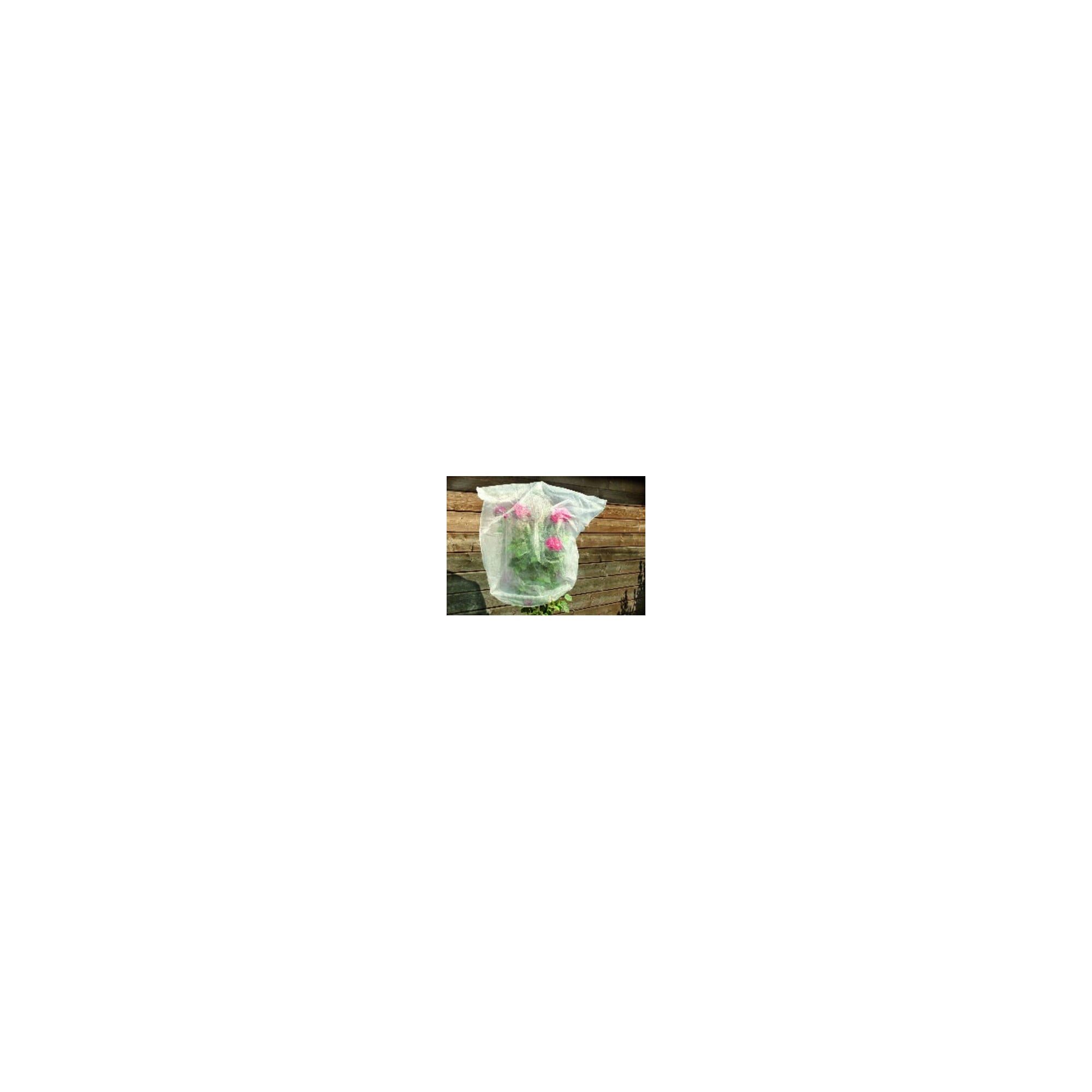 Floraworld Malervlies floraworld Rosenhaubenvlies 5er Set 0,8x0,75 m 17g