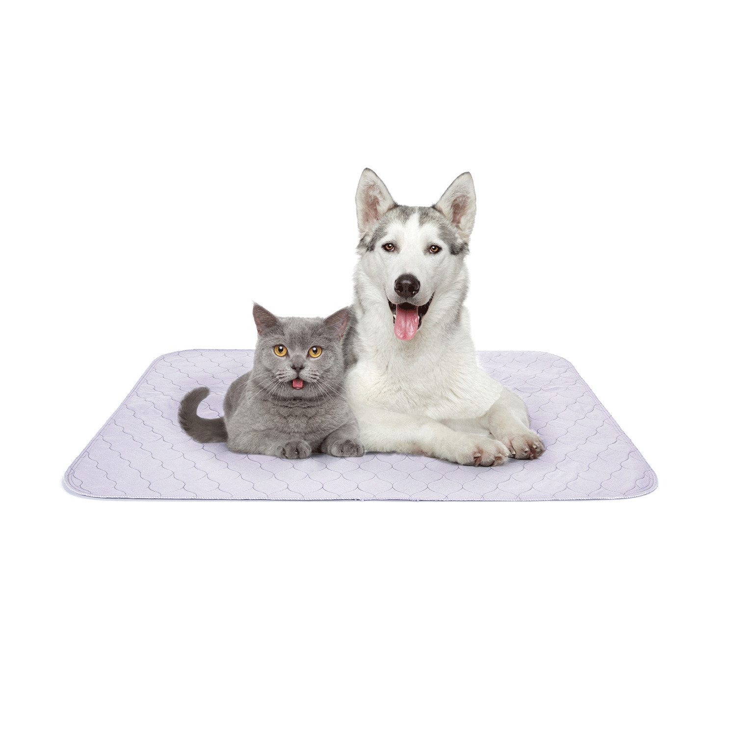 Hundetoilette nobleza - Waschbare Trainingsunterlage für Hunde - Welpenunterlage