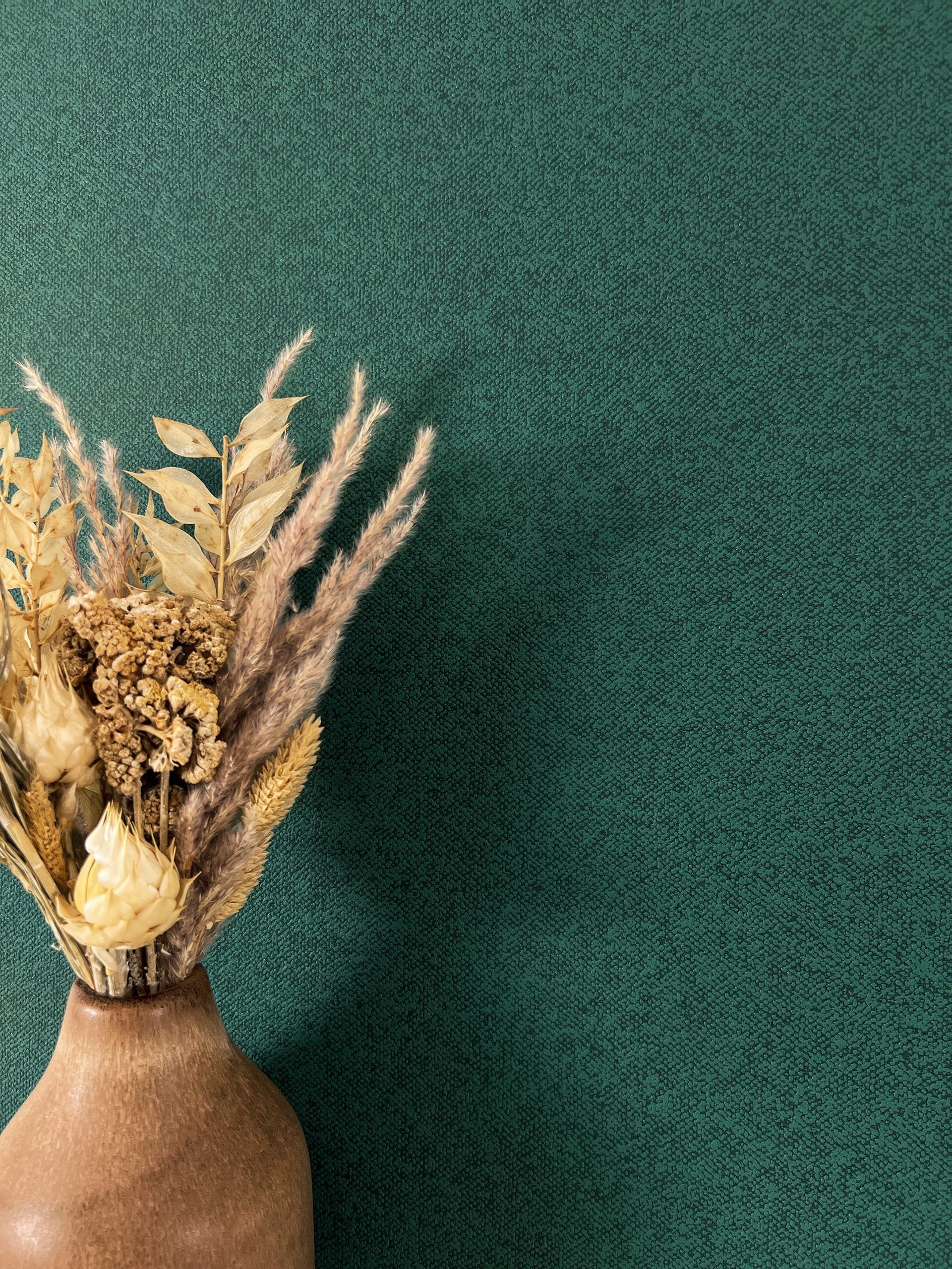 Newroom Vliestapete, Grün Tapete Modern Unifarbe günstig online kaufen