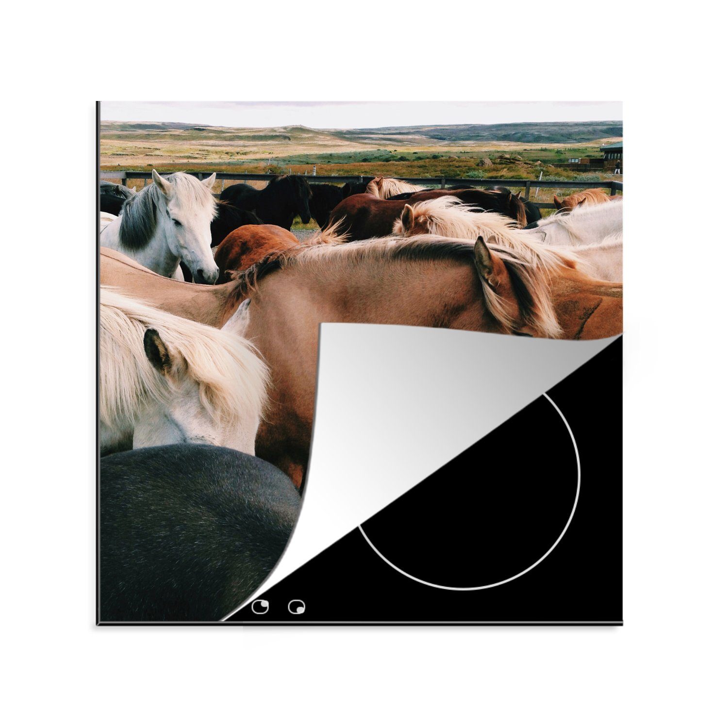 MuchoWow Herdblende-/Abdeckplatte Pferde - Induktionsschutz - Wild - Induktionsmatte, Vinyl, (1 tlg), 78x78 cm, Ceranfeldabdeckung, Arbeitsplatte für küche