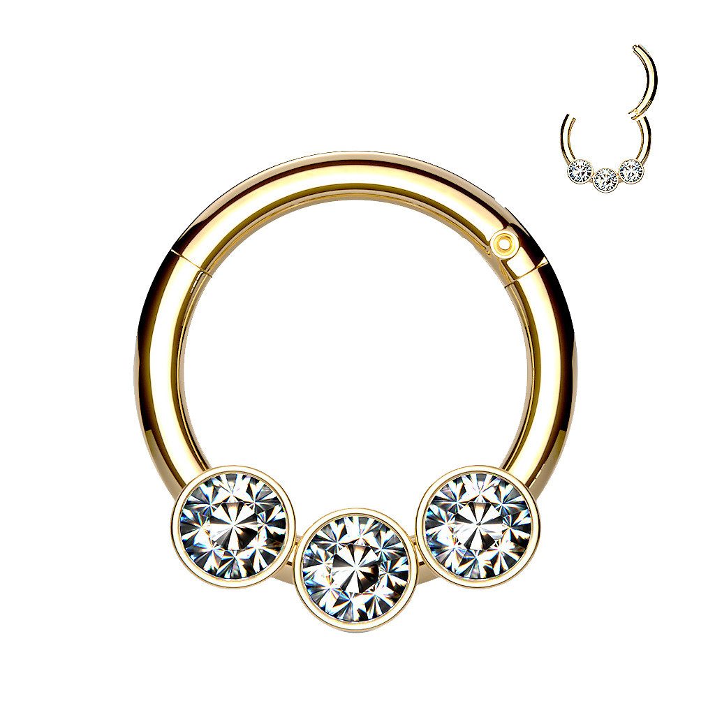 Taffstyle Nasenpiercing Septum Piercing Scharnier Ring günstig online kaufen