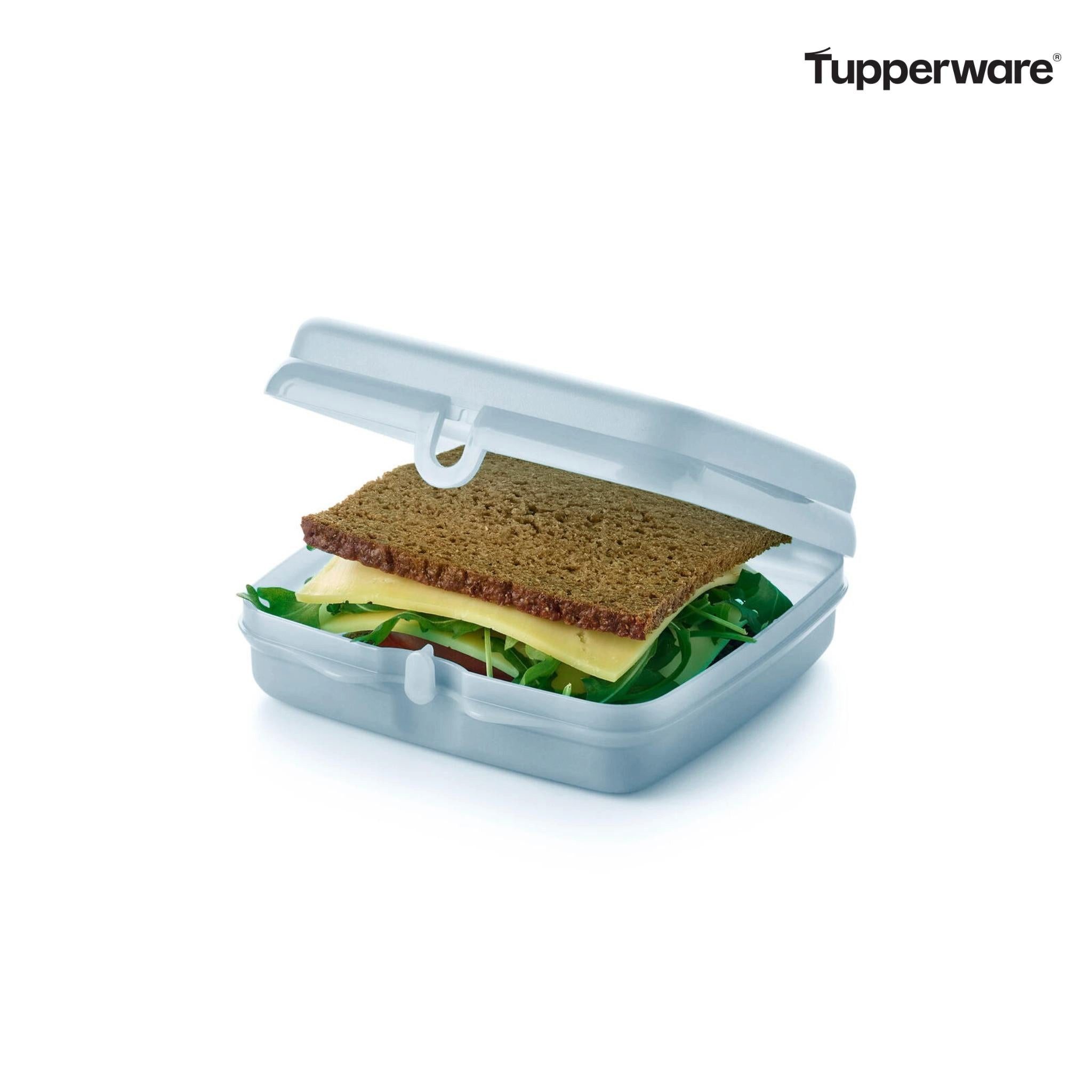 TUPPERWARE Lunchbox Eco+ Sandwichbox hellblau