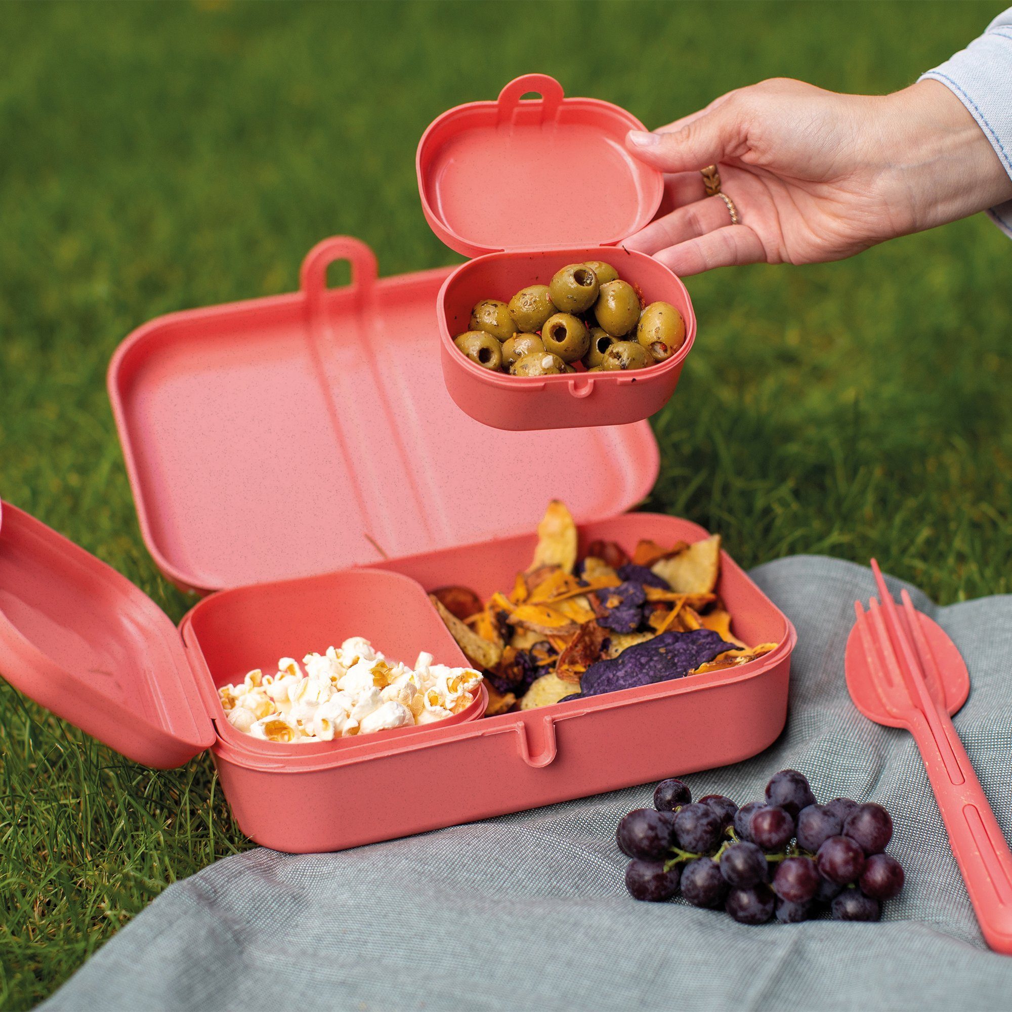 KOZIOL Lunchbox, Kunststoff, (Set, 6-tlg., 3 Lunchboxen +1 Besteckset bestehend aus 1x Messer,1x Gabel, 1x Löffel), biozirkulärem Material,spülmaschinengeeignet,melaminfrei,recycelbar