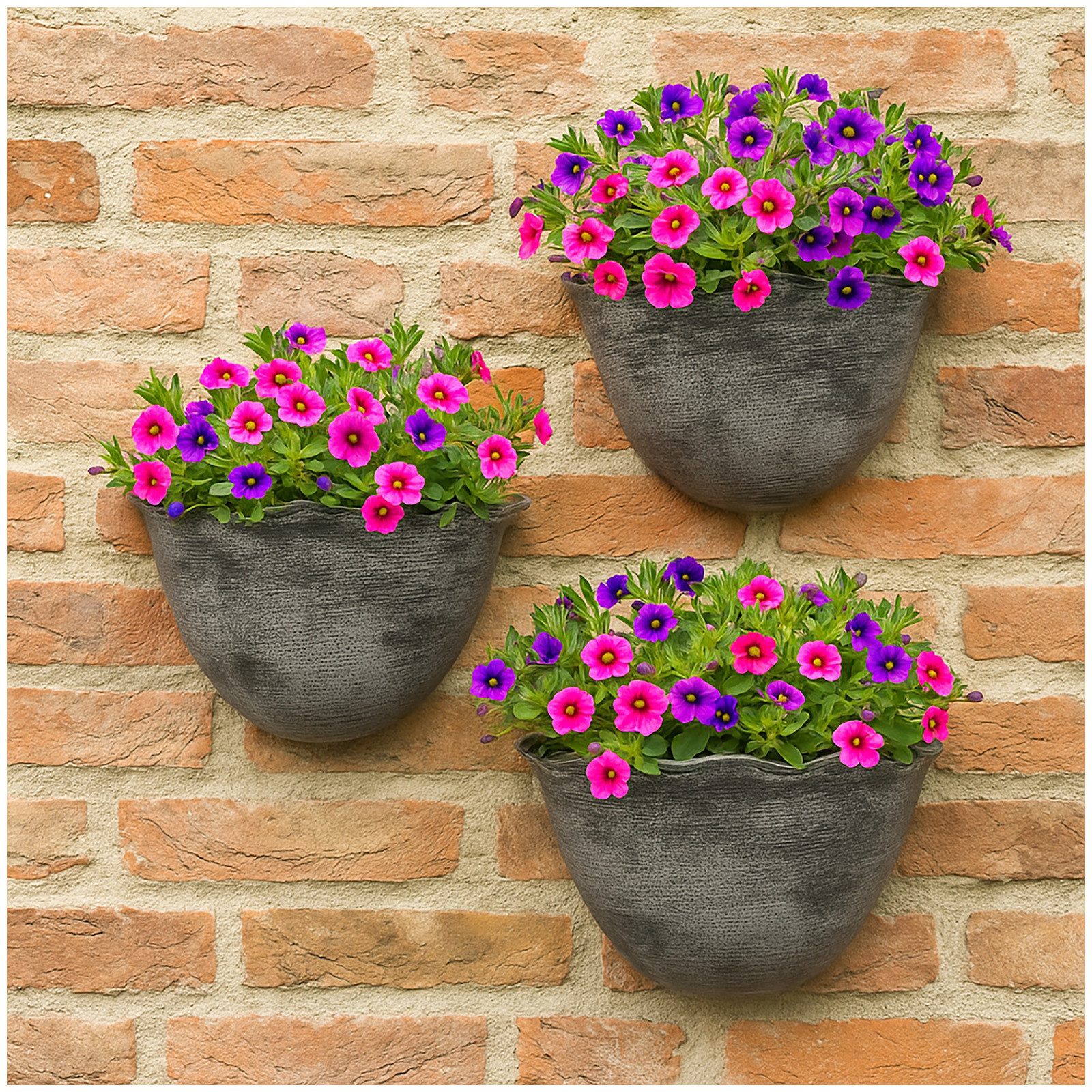 HTI-Living Pflanzschale Pflanzschale Nessa Muschel Wandmontage (Stück, 3 St., 3 Pflanzschalen), Blumentopf hängend Kunststoff