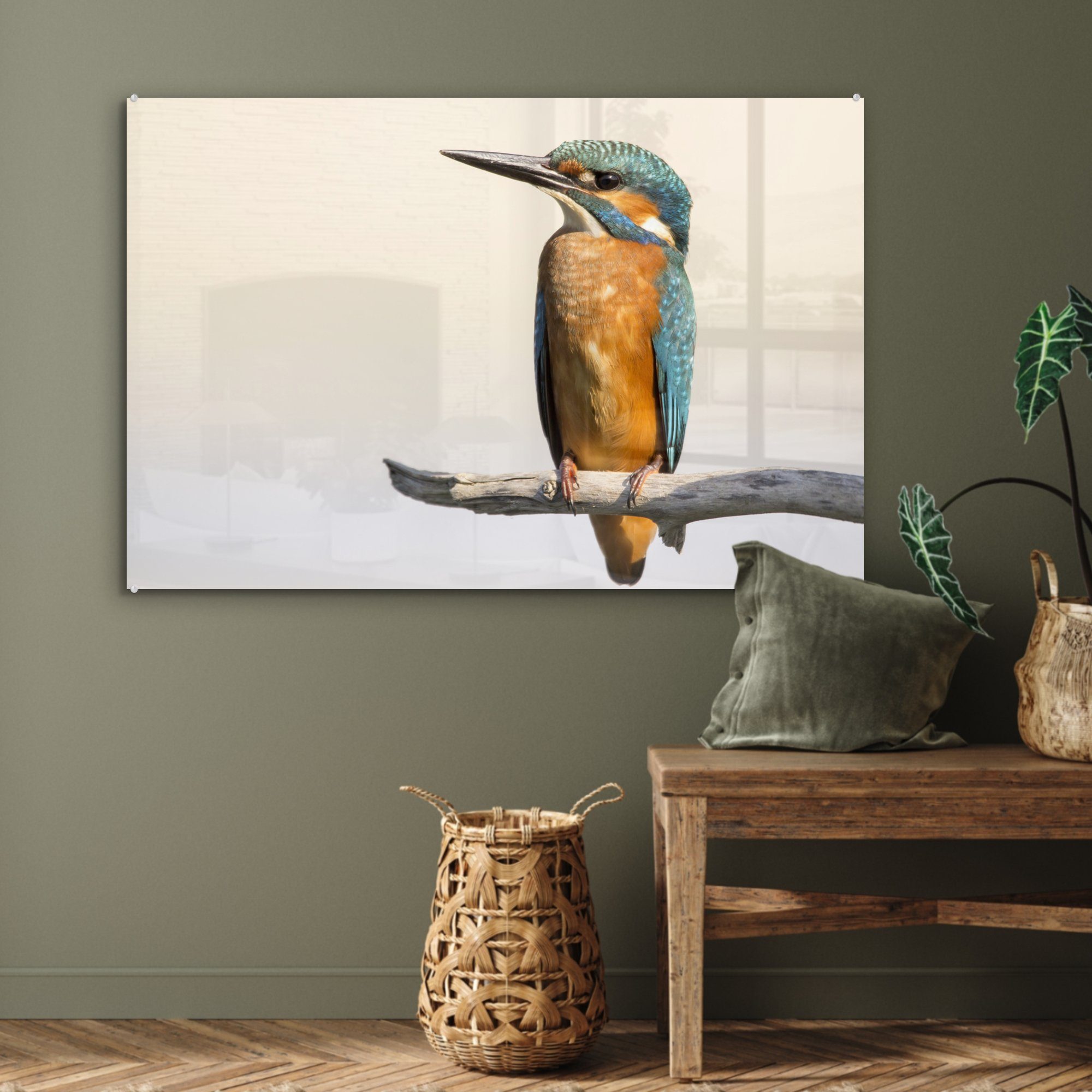 Schlafzimmer & Acrylglasbilder Acrylglasbild MuchoWow (1 - - St), Wohnzimmer Zweige Eisvogel Tiere,