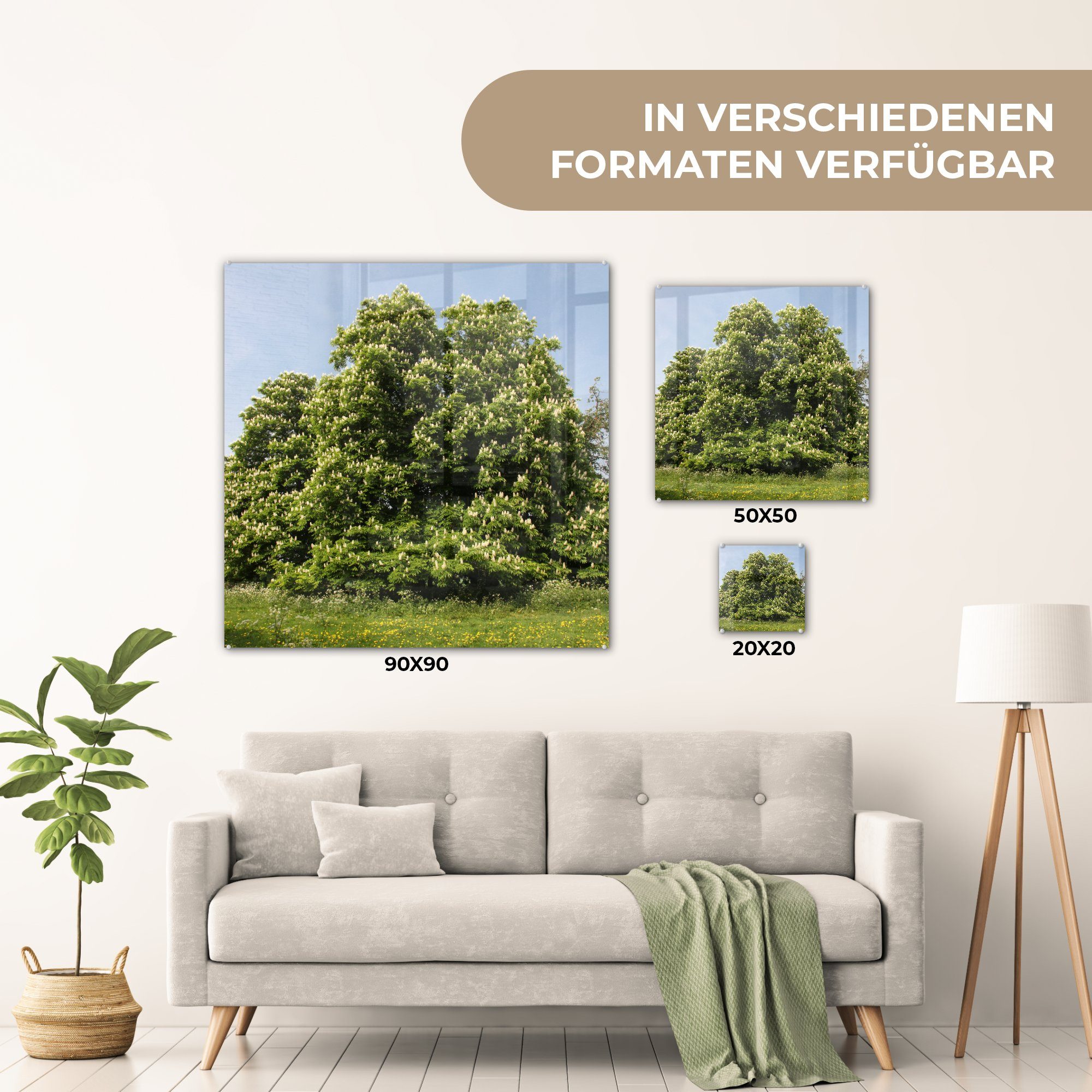 MuchoWow Acrylglasbild Ein Kastanienbaum im Wanddekoration auf - auf St), Foto - Wandbild (1 Glas Bilder in Glasbilder Frühling England, - Glas