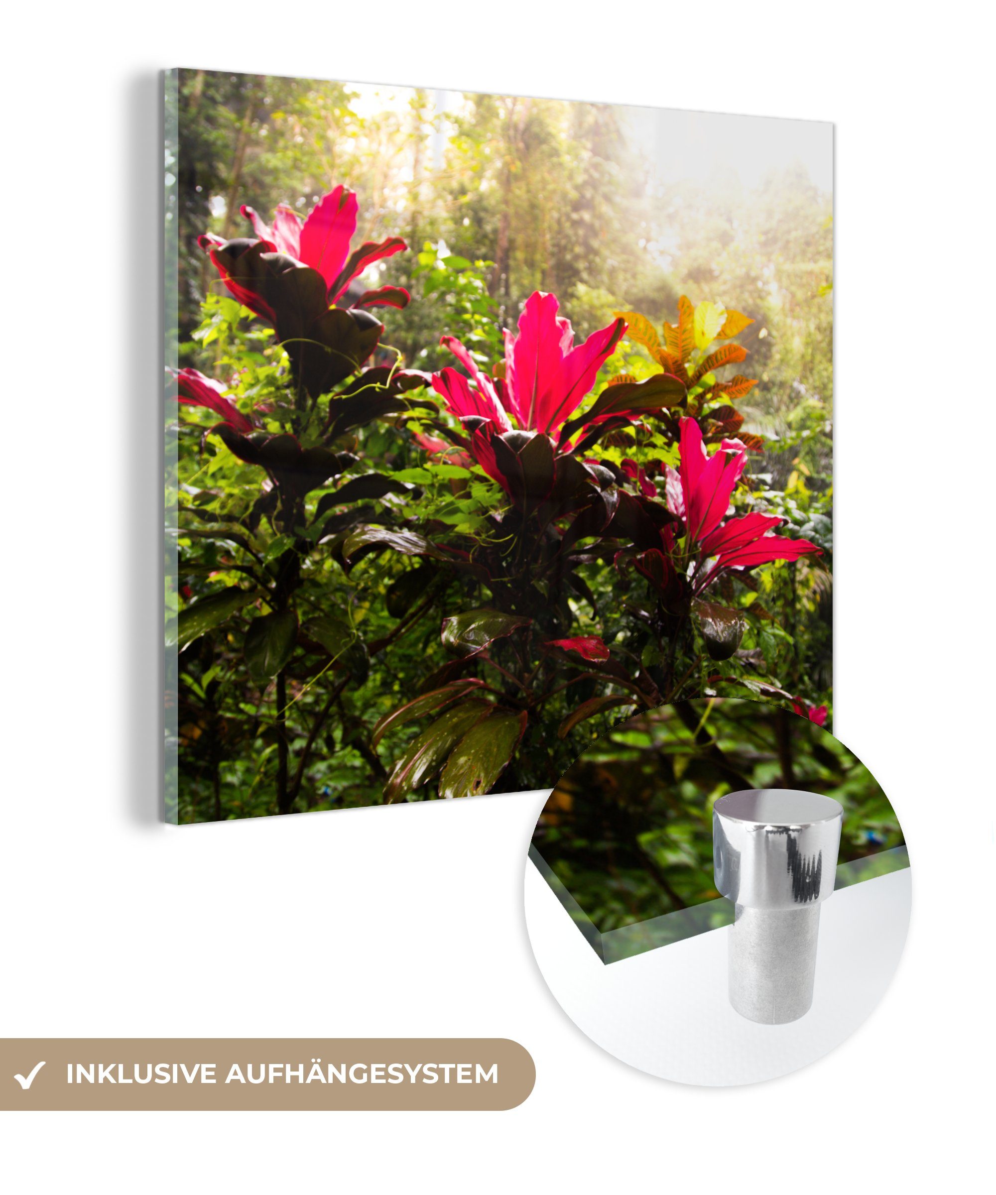 MuchoWow Acrylglasbild Schöne Blumen inmitten des Dschungels, (1 St), Glasbilder - Bilder auf Glas Wandbild - Foto auf Glas - Wanddekoration bunt
