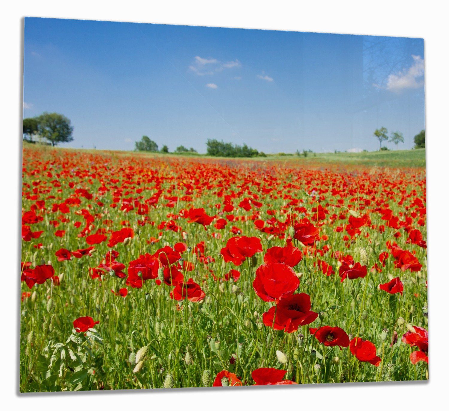 Wallario Herd-Abdeckplatte Mohnblumenfeld- rote Blumen Himmel, inkl. (Glasplatte, 1 verschiedene Noppen), 5mm ESG-Sicherheitsglas, tlg., unter Größen blauem