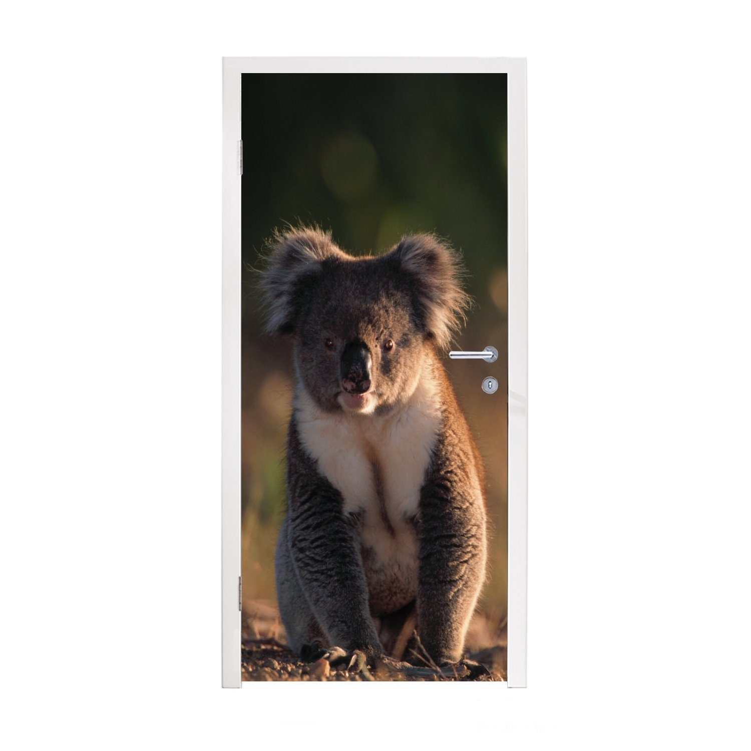 Tier MuchoWow - - Tür, Fototapete Matt, Sonne (1 für 75x205 Türtapete cm - St), Koala Mädchen, - Jungen - Kinder Türaufkleber, bedruckt,