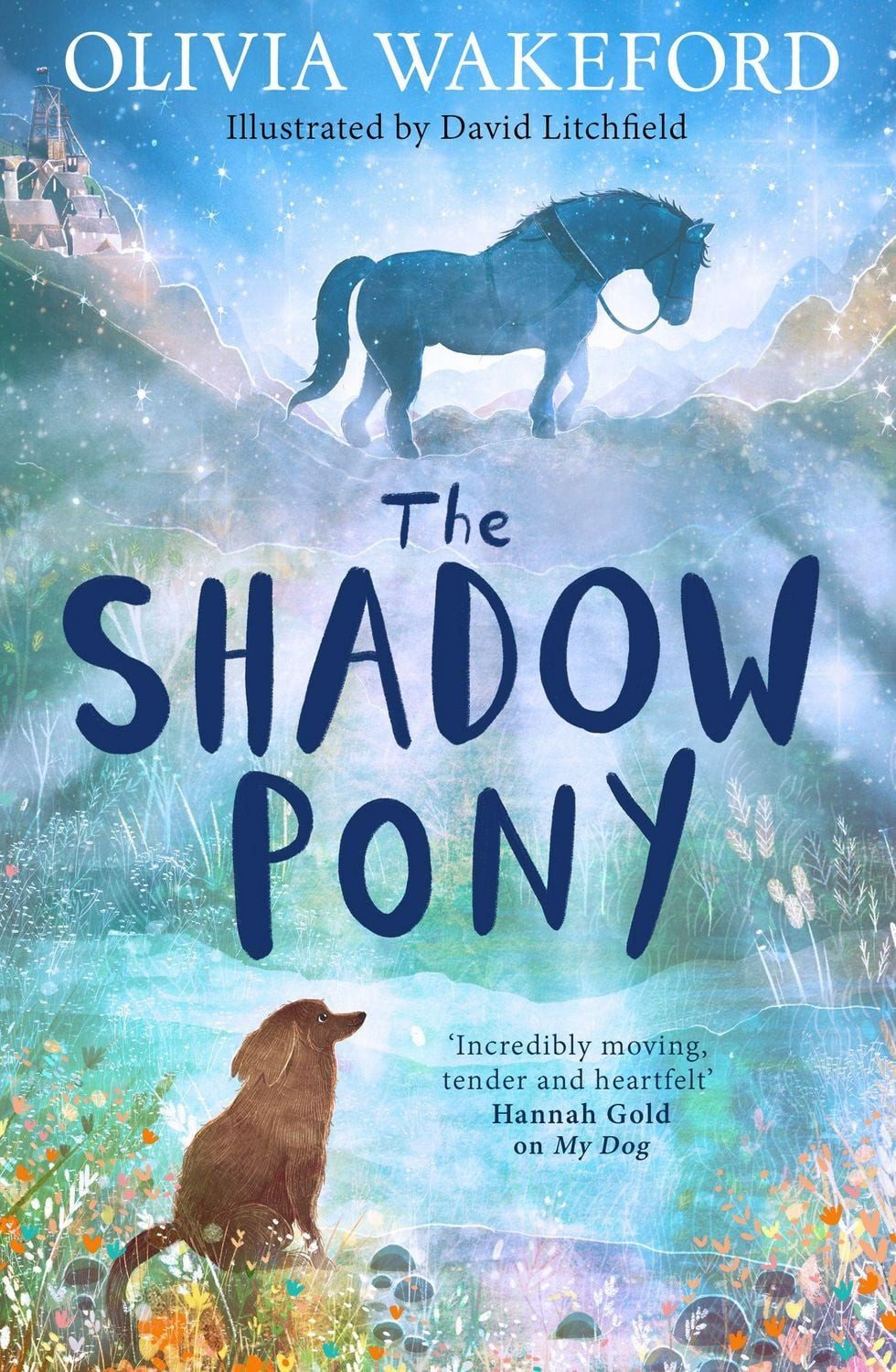 SHADOW PONY PB / Olivia Wakeford