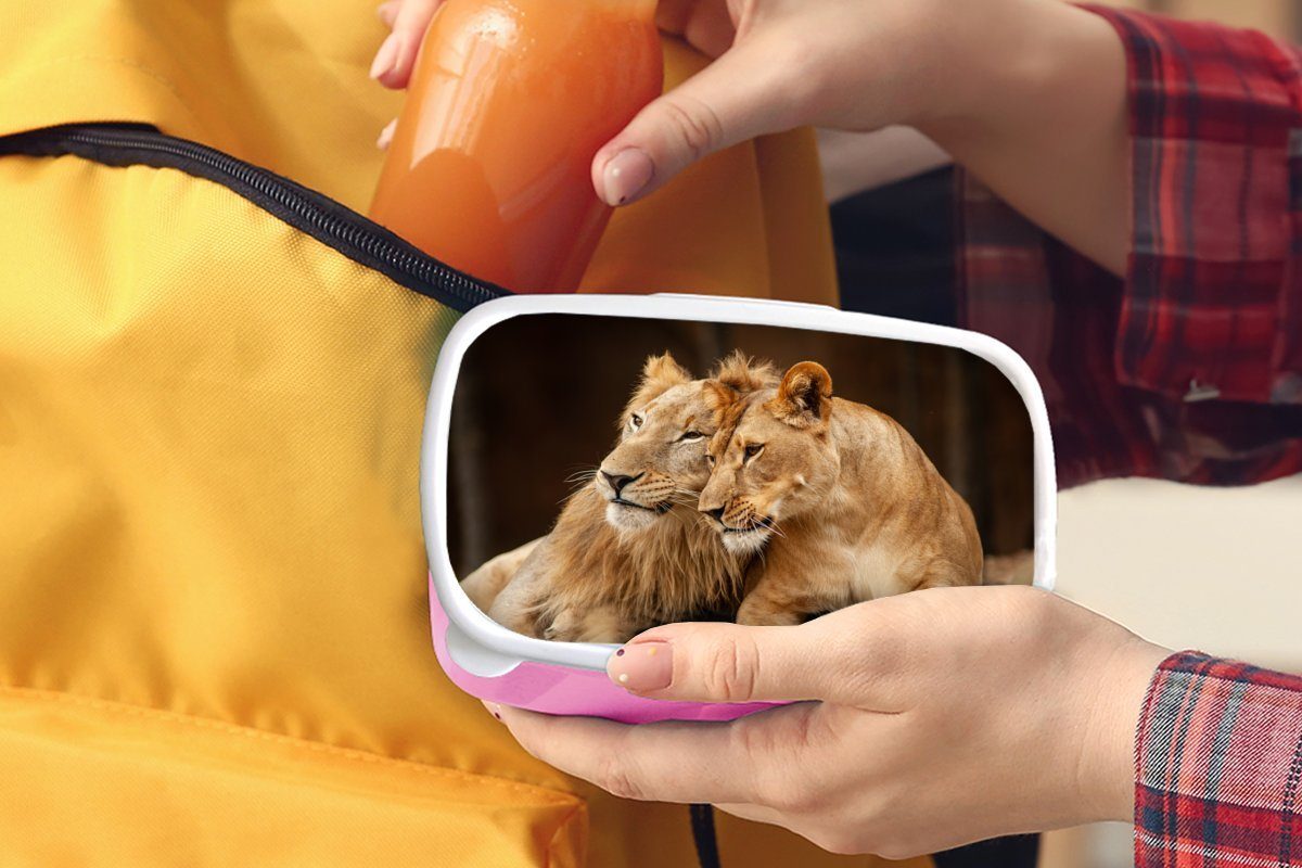 Kunststoff, Erwachsene, Brotbox - Kinder, - rosa Mädchen, Tiere, (2-tlg), für Kunststoff MuchoWow Braun Brotdose Löwen Snackbox, Lunchbox