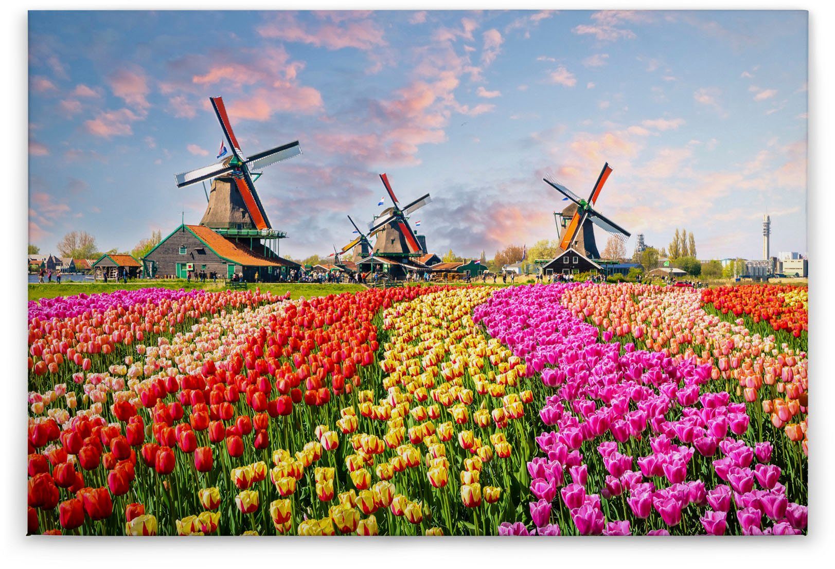 A.S. Création Leinwandbild Zaanse Schans, Kinder, Kunst, Landschaft (1 St), Keilrahmen Blumenfeld Tulpenfeld Holland Leinwand-Bild Wohnzimmer Wand