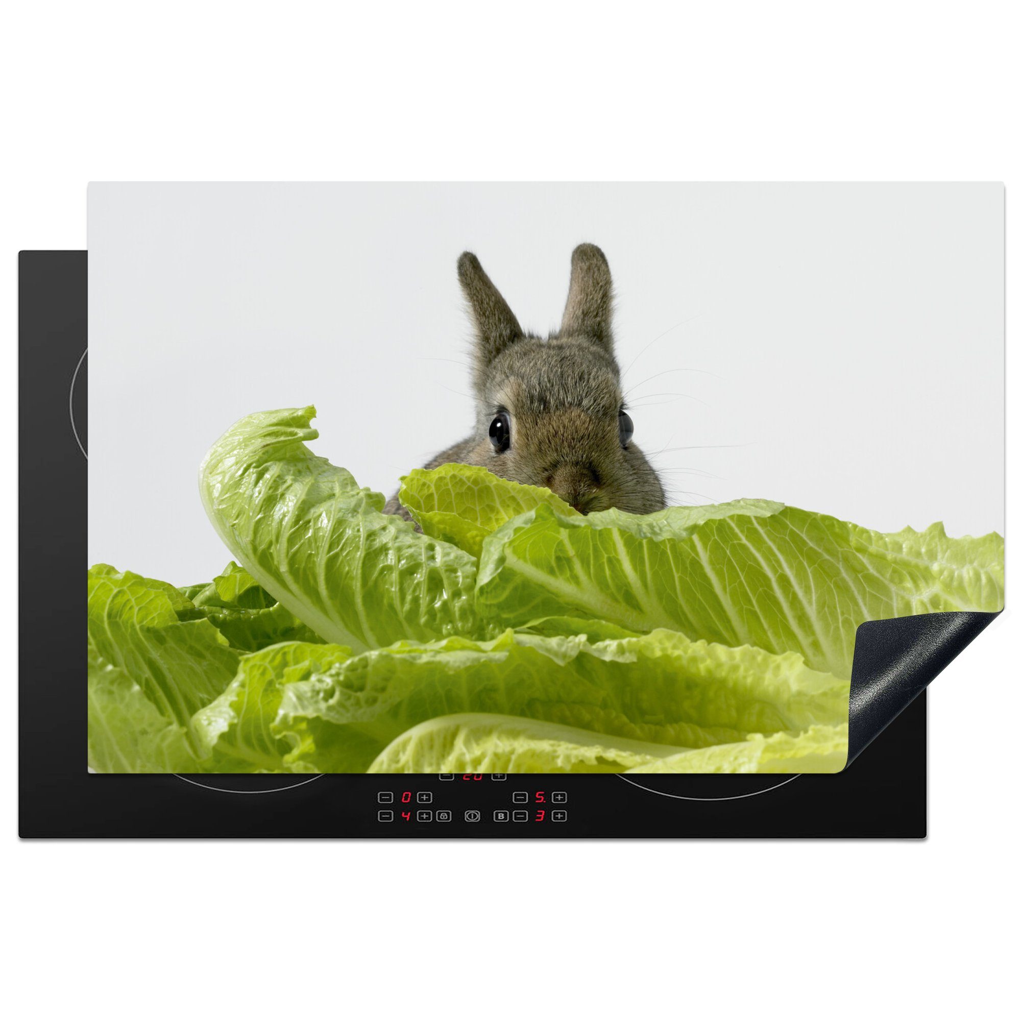 MuchoWow Herdblende-/Abdeckplatte Kaninchen - Kopfsalat - Haustier, Vinyl, (1 tlg), 81x52 cm, Induktionskochfeld Schutz für die küche, Ceranfeldabdeckung