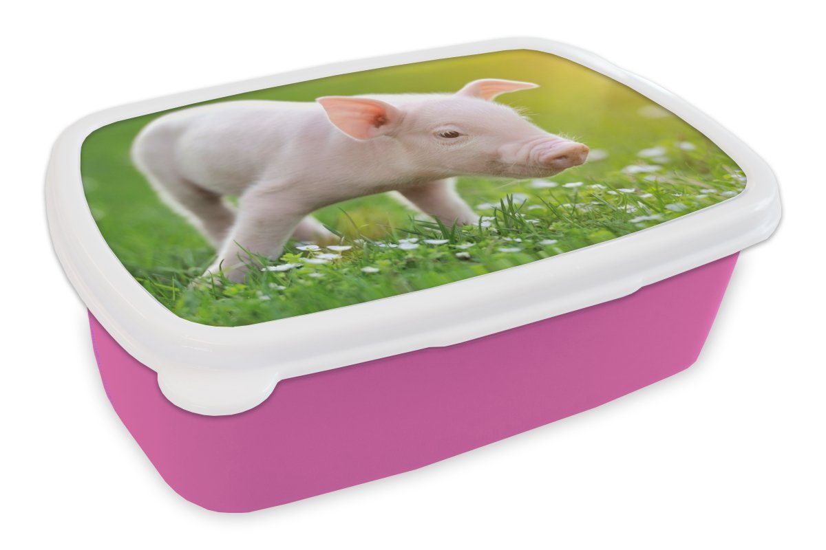 MuchoWow Lunchbox Tiere - Ferkel - Schwein, Kunststoff, (2-tlg), Brotbox für Erwachsene, Brotdose Kinder, Snackbox, Mädchen, Kunststoff rosa