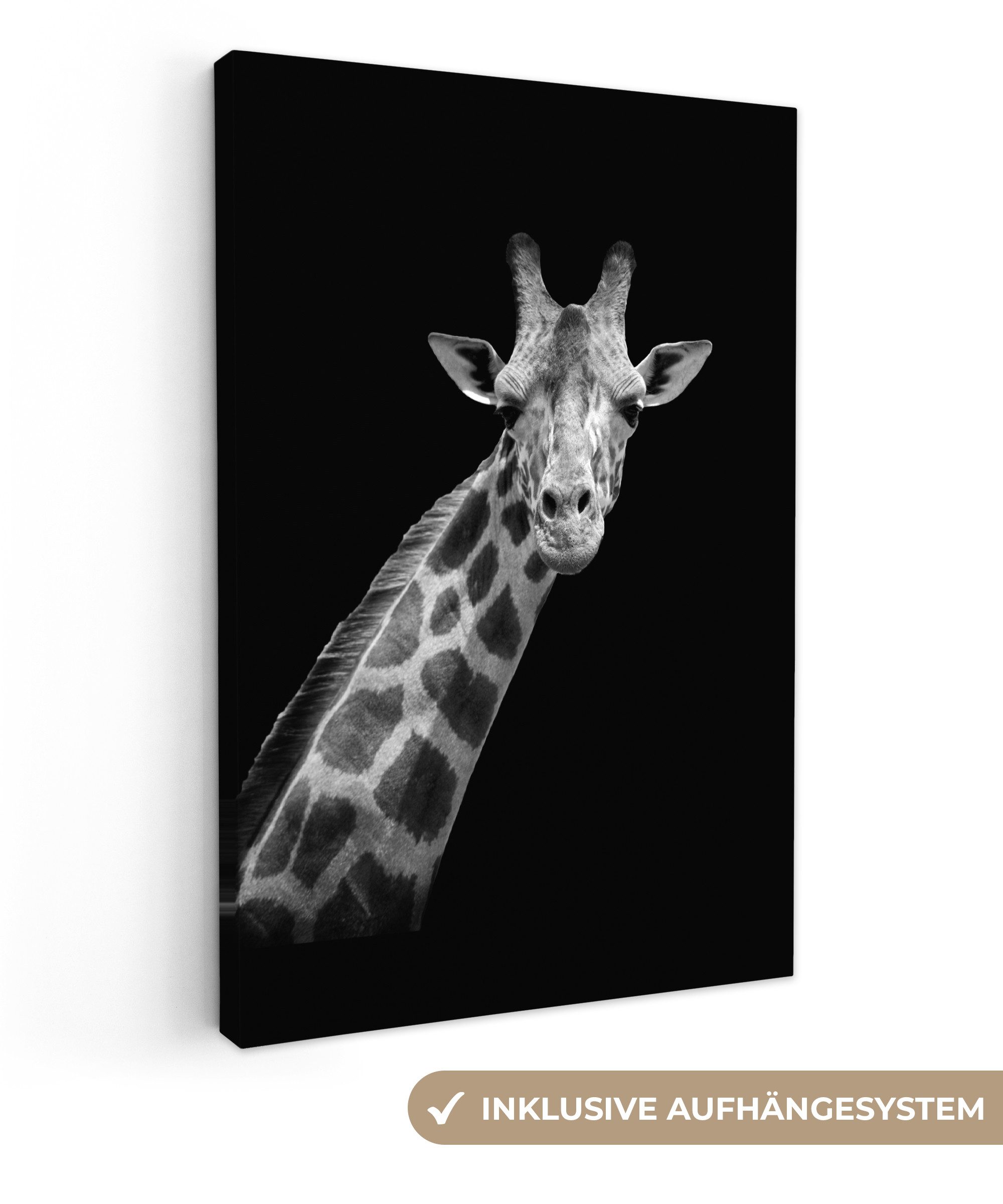 OneMillionCanvasses® Leinwandbild Giraffe - Wildtiere - günstig online kaufen