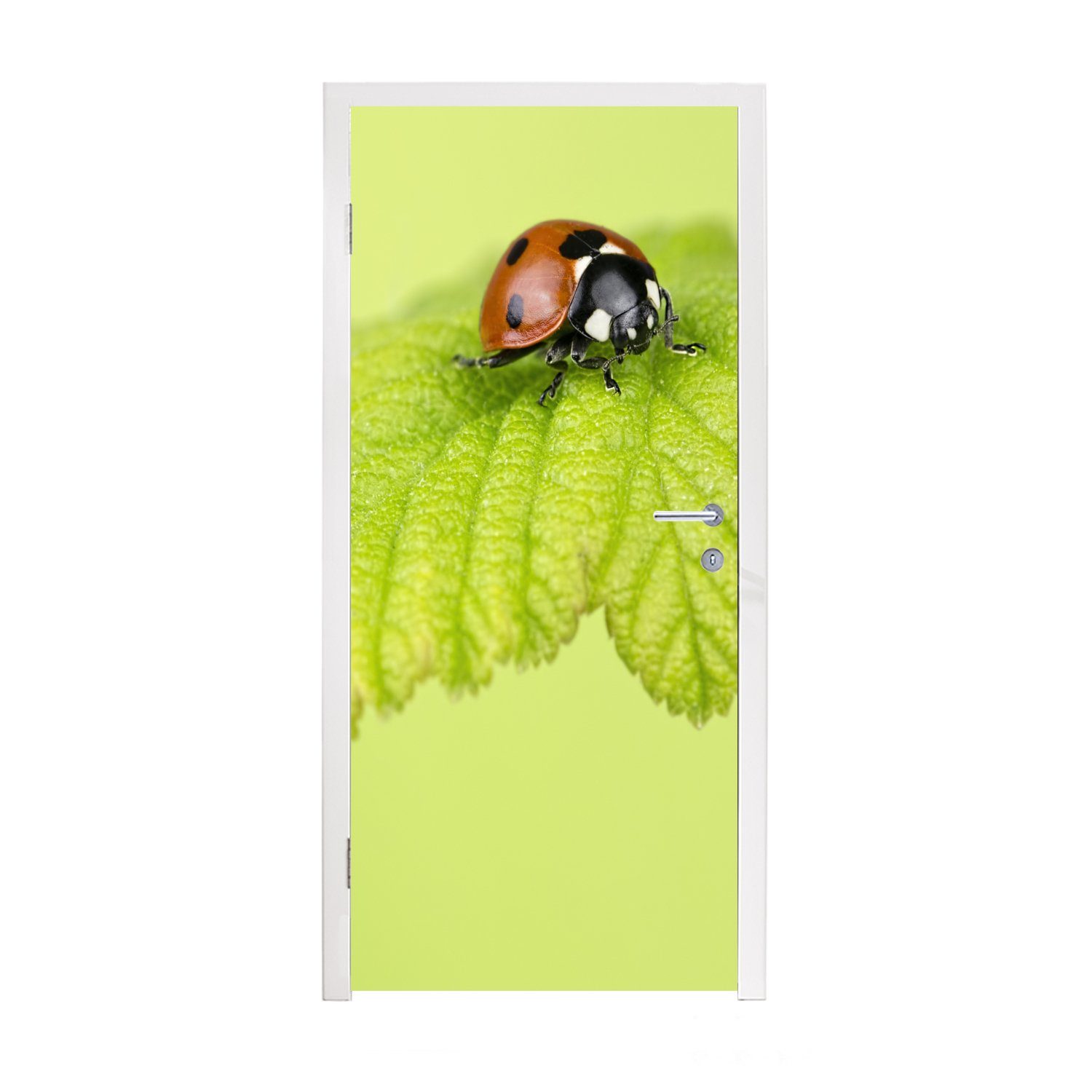 MuchoWow Türtapete Marienkäfer grünes Blatt, Matt, bedruckt, (1 St), Fototapete für Tür, Türaufkleber, 75x205 cm