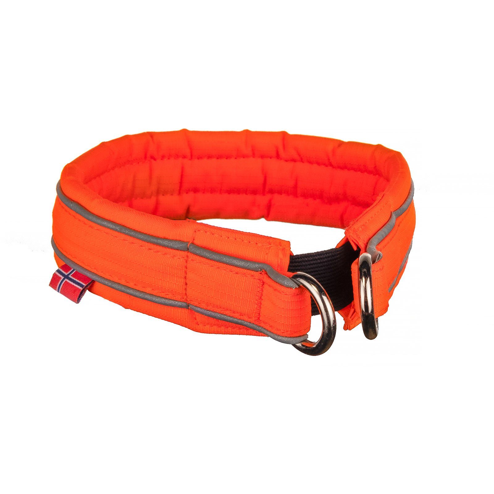 Non-stop dogwear Hunde-Halsband SAFE Collar, Nylon-Band, Für Hunde entwickelt, die sich in der Natur frei bewegen
