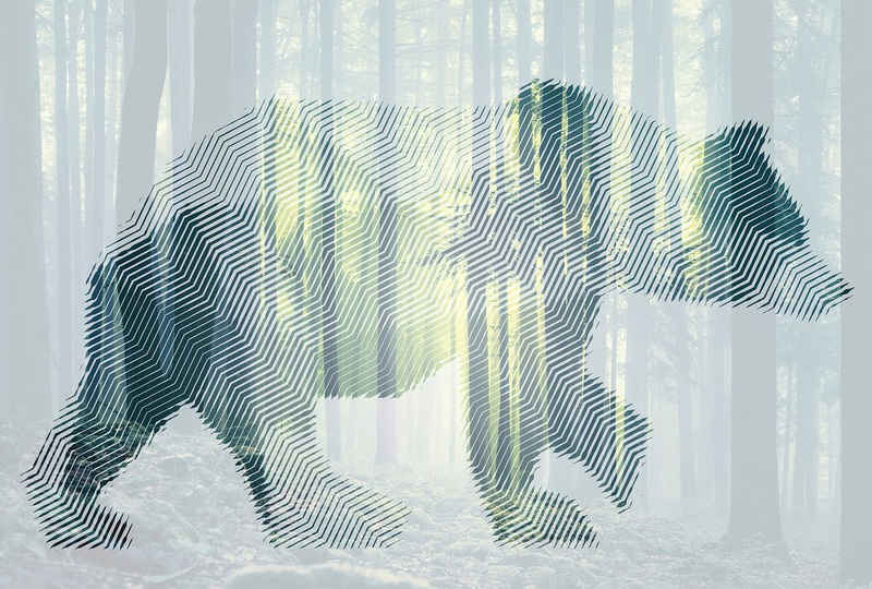 Architects Paper Fototapete Atelier 47 Bear Forest 1, glatt, Wald, (4 St), Vlies, Wand, Schräge, Decke