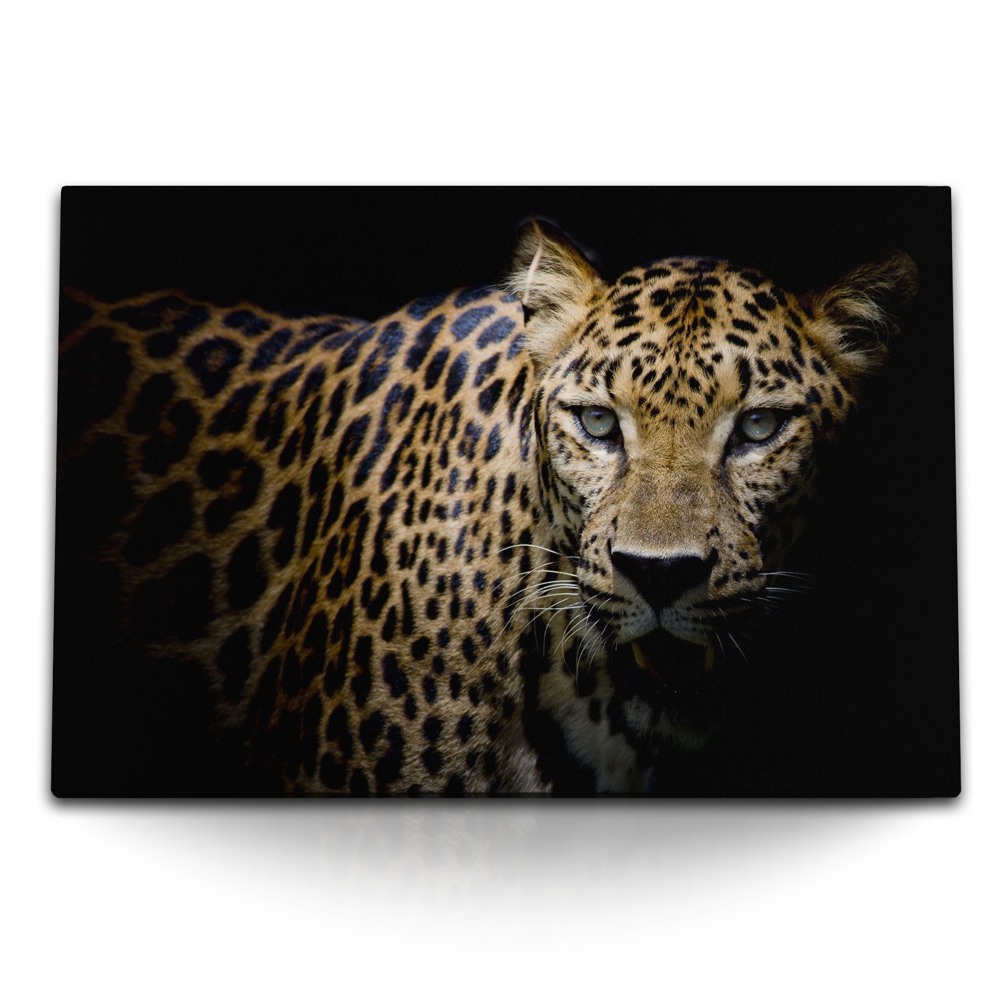 Leinwandbild 120x80cm Wandbild auf Leinwand Leopard Raubkatze Tierfotografie schwar