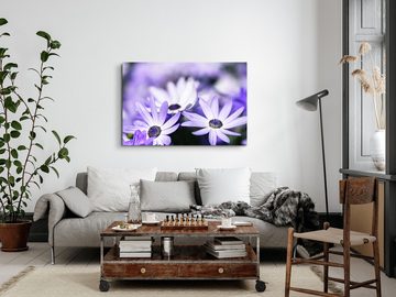 Sinus Art Leinwandbild 120x80cm Wandbild auf Leinwand Weiße Blumen Blüten Violett Feldblumen, (1 St)