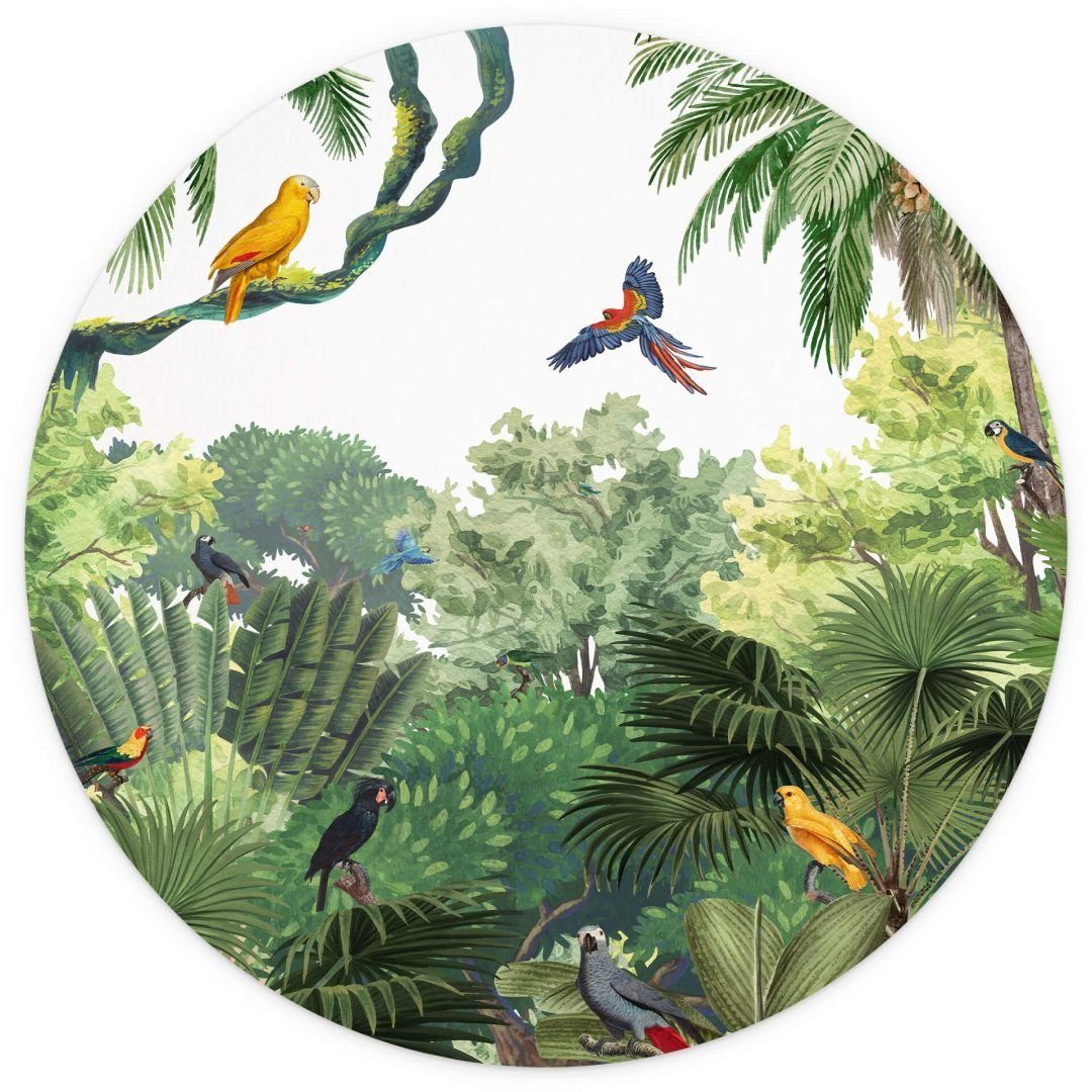 K&L Wall Art Fototapete Kikki Belle - Tropische Vögel, Vliestapete, rund, Dschungel, große Kinder Motivtapete