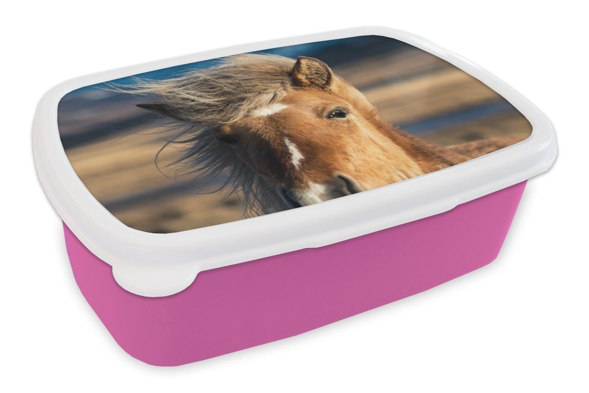 MuchoWow Lunchbox Nahaufnahme eines braunen Isländerpferdes, Kunststoff, (2-tlg), Brotbox für Erwachsene, Brotdose Kinder, Snackbox, Mädchen, Kunststoff rosa
