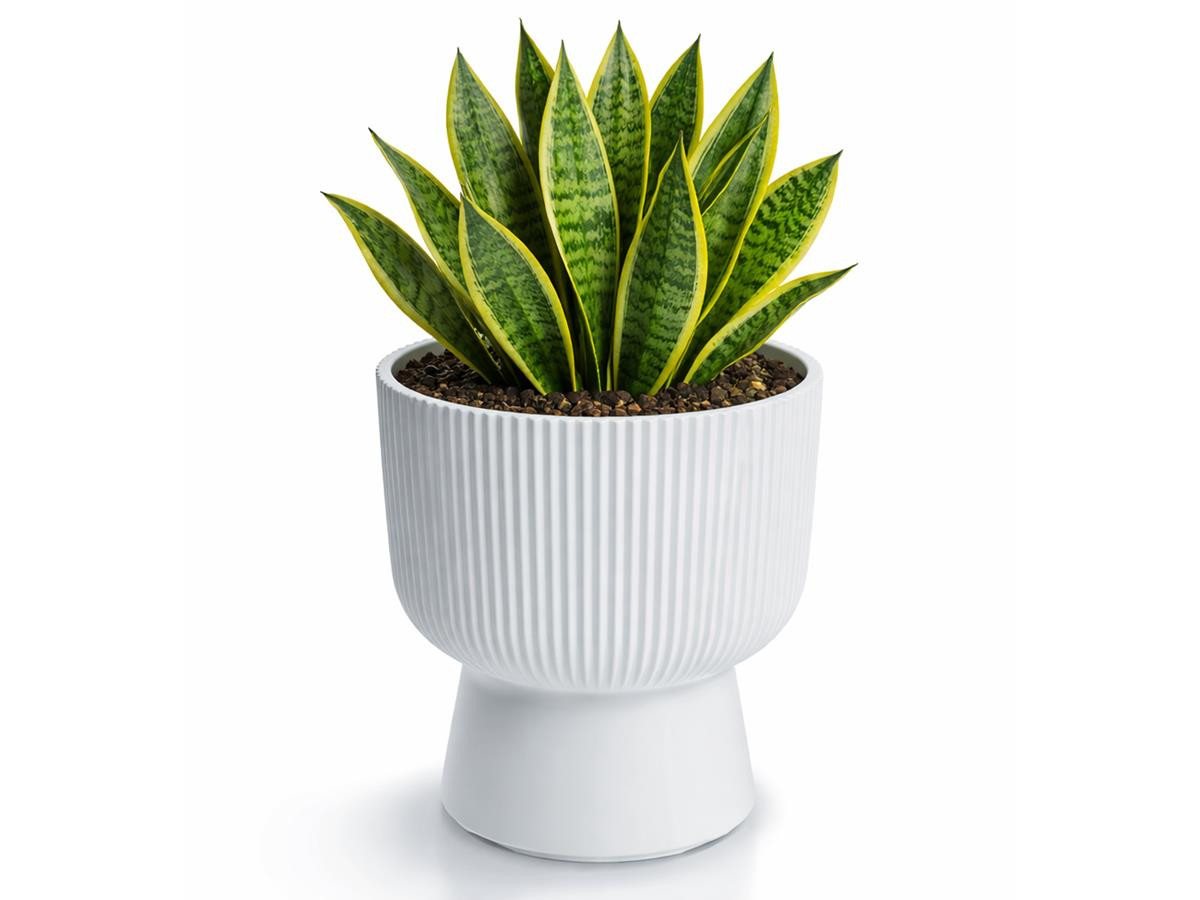 Prosperplast Blumentopf Milly Round, inkl. Pflanzeinsatz, 23,9 x 30,5 cm