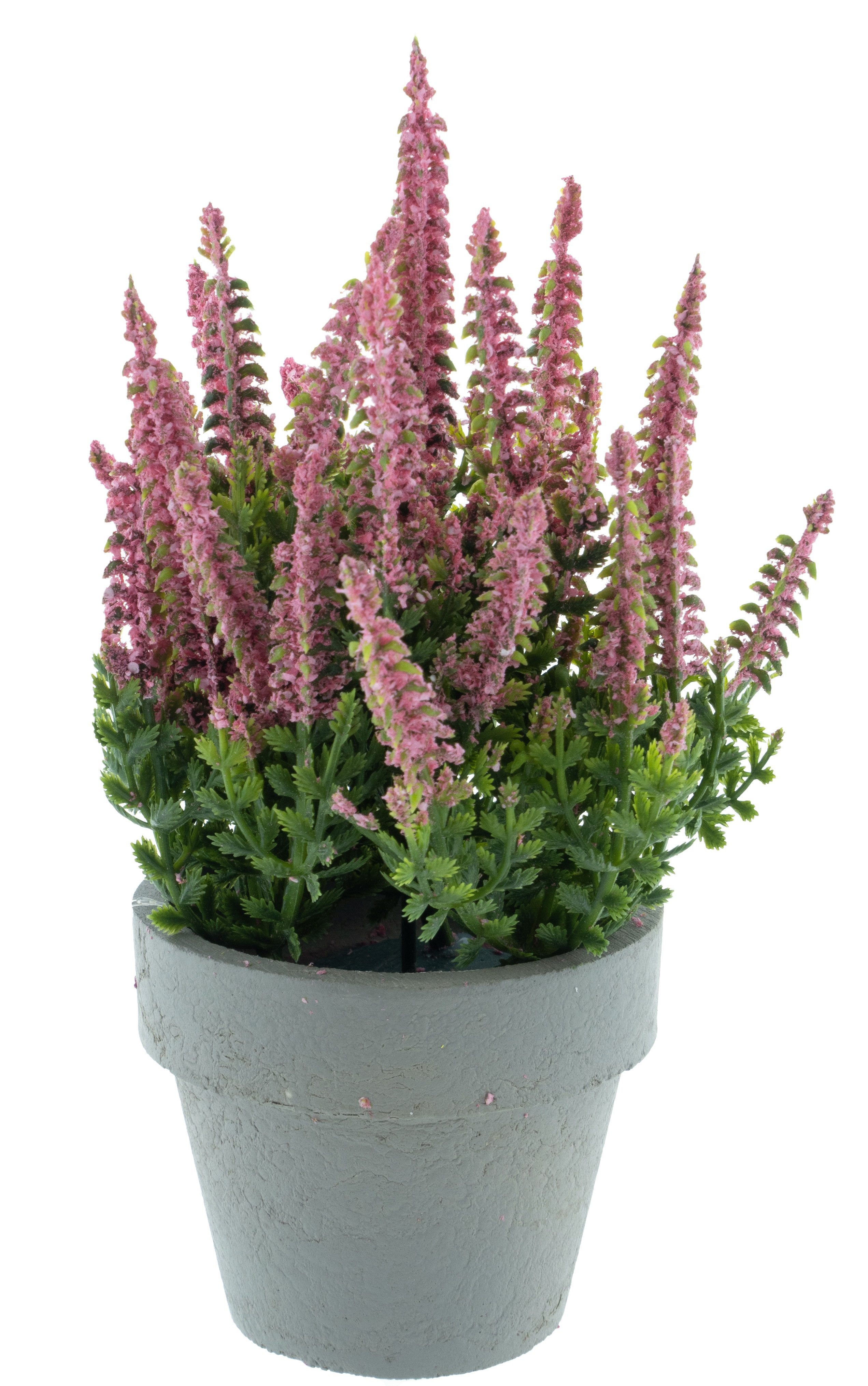 Kunstpflanze Erika im grauen Topf 13x19cm Kunstblume Heidekraut, mucPlants günstig online kaufen