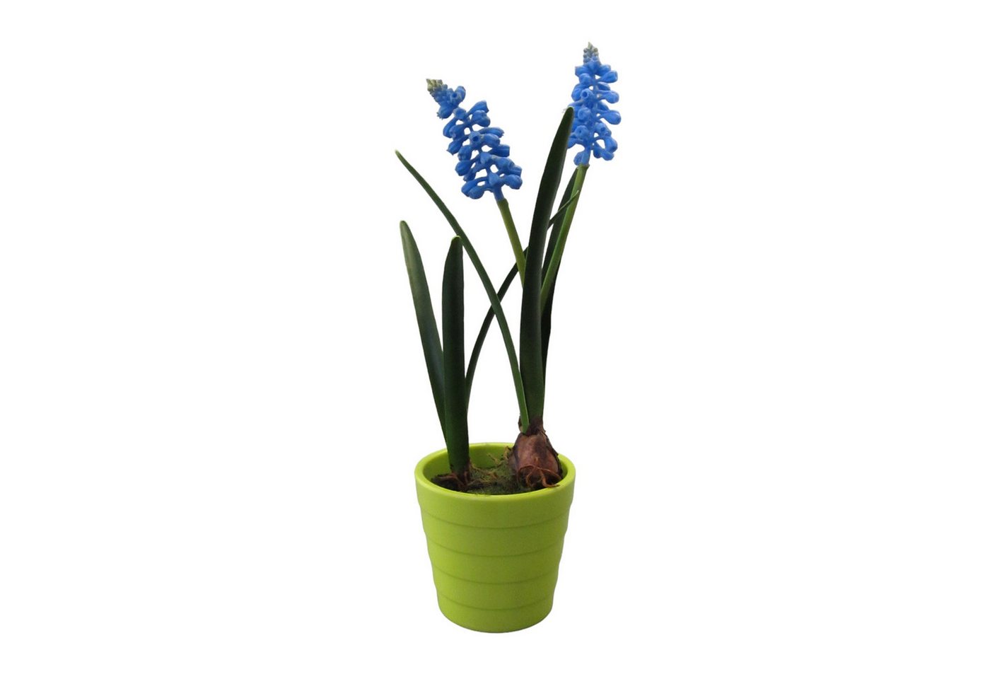 Kunstblume Kunstpflanze, Blume MUSKARI ca. 23cm. Im runden Kunststofftopf., Gasper, Höhe 23.00 cm