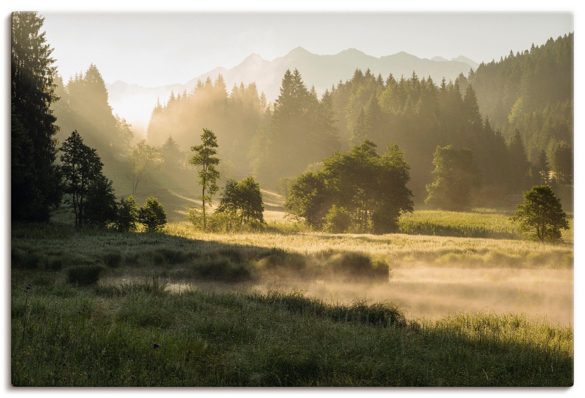 Artland Leinwandbild Sommermorgen in den Alpen, Wiesen & Bäume (1 St), auf Holzrahmen gespannt