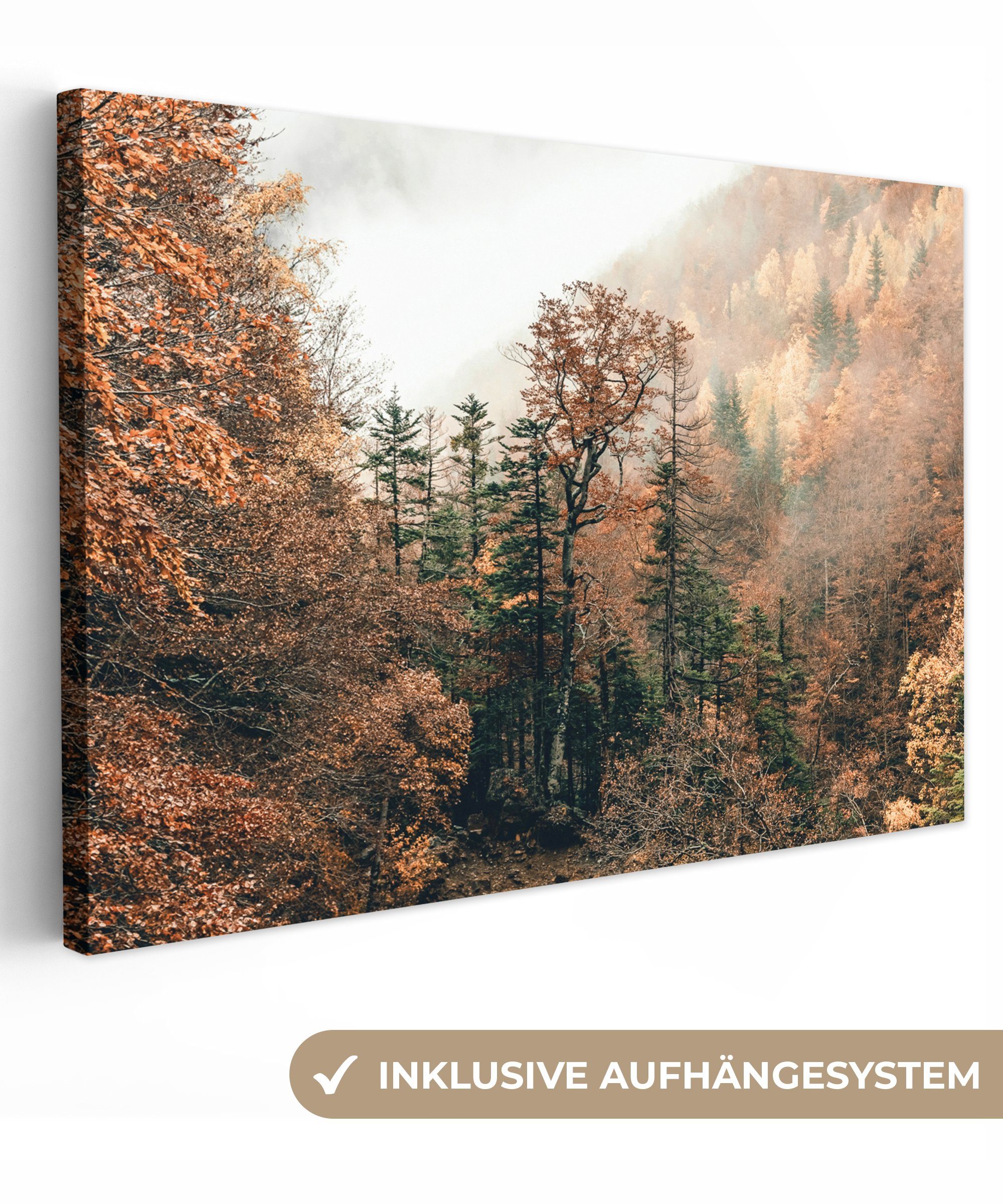 Wanddeko, - Nebel Leinwandbilder, (1 OneMillionCanvasses® Wald Leinwandbild Wandbild - cm 30x20 Natur St), - Aufhängefertig, Herbst,