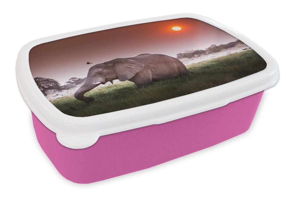 MuchoWow Lunchbox Elefant - Gras - Sonne - Tiere, Kunststoff, (2-tlg), Brotbox für Erwachsene, Brotdose Kinder, Snackbox, Mädchen, Kunststoff rosa