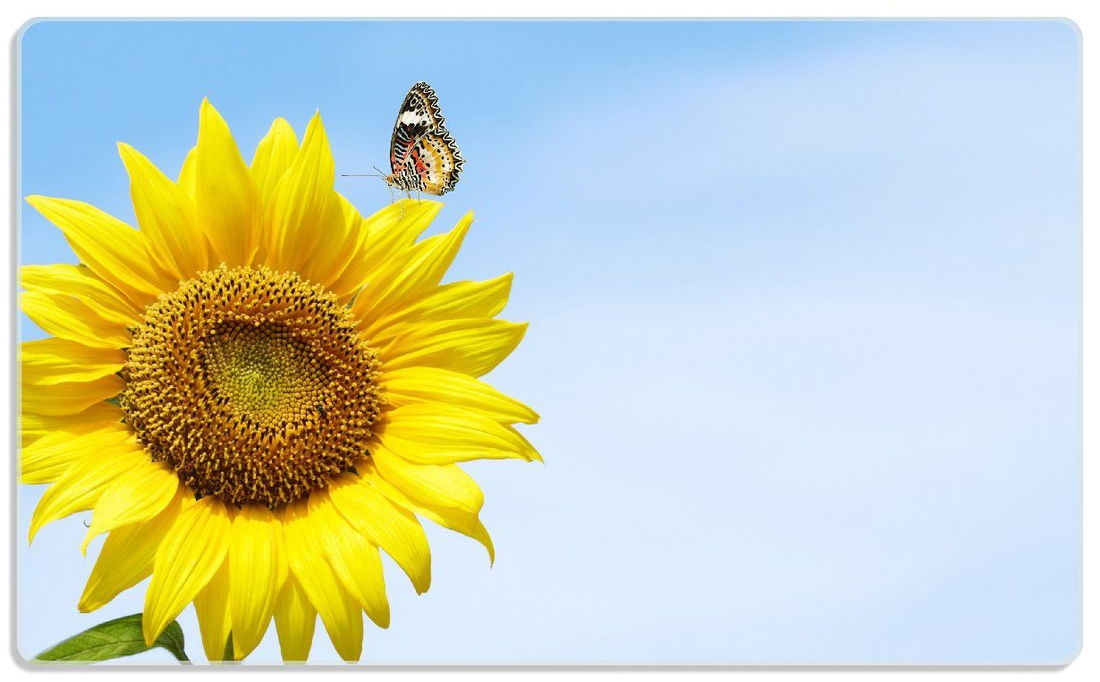 Schmetterling, Wallario rutschfester Gummifüße ESG-Sicherheitsglas, 1-St), 14x23cm 4mm, Frühstücksbrett Sonnenblume mit (inkl.