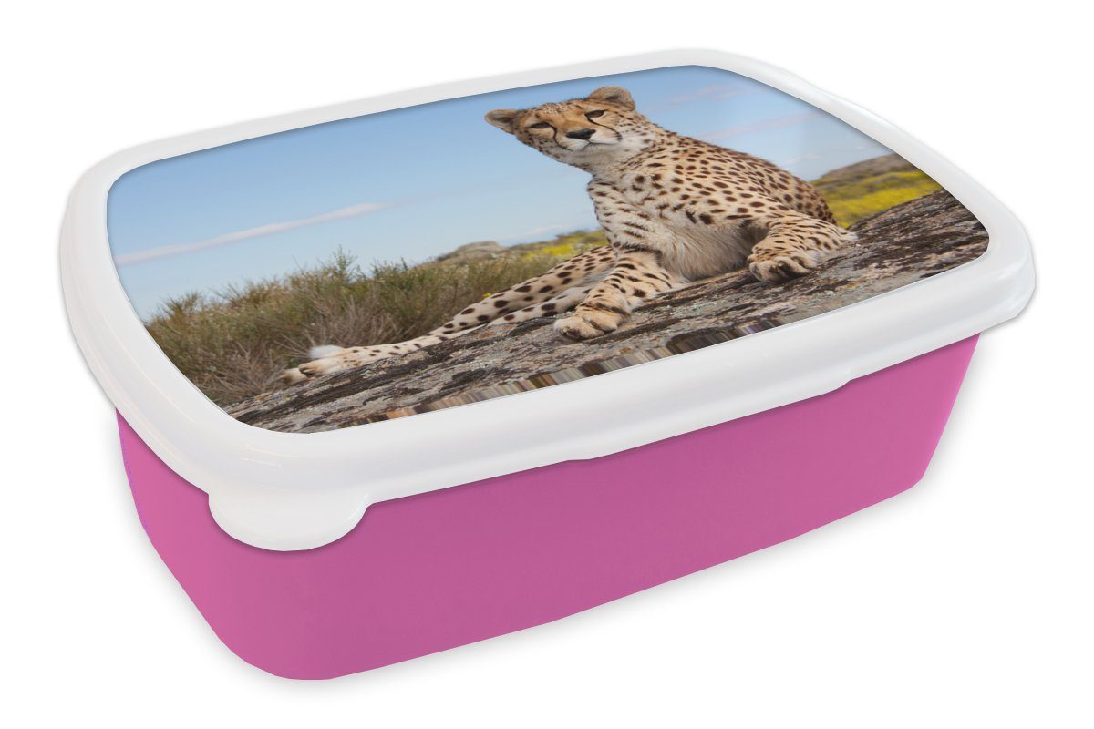 MuchoWow Lunchbox Leopard - Kinder, Brotbox rosa Natur, - Brotdose Tiere Kunststoff Kunststoff, für Mädchen, Erwachsene, (2-tlg), Snackbox