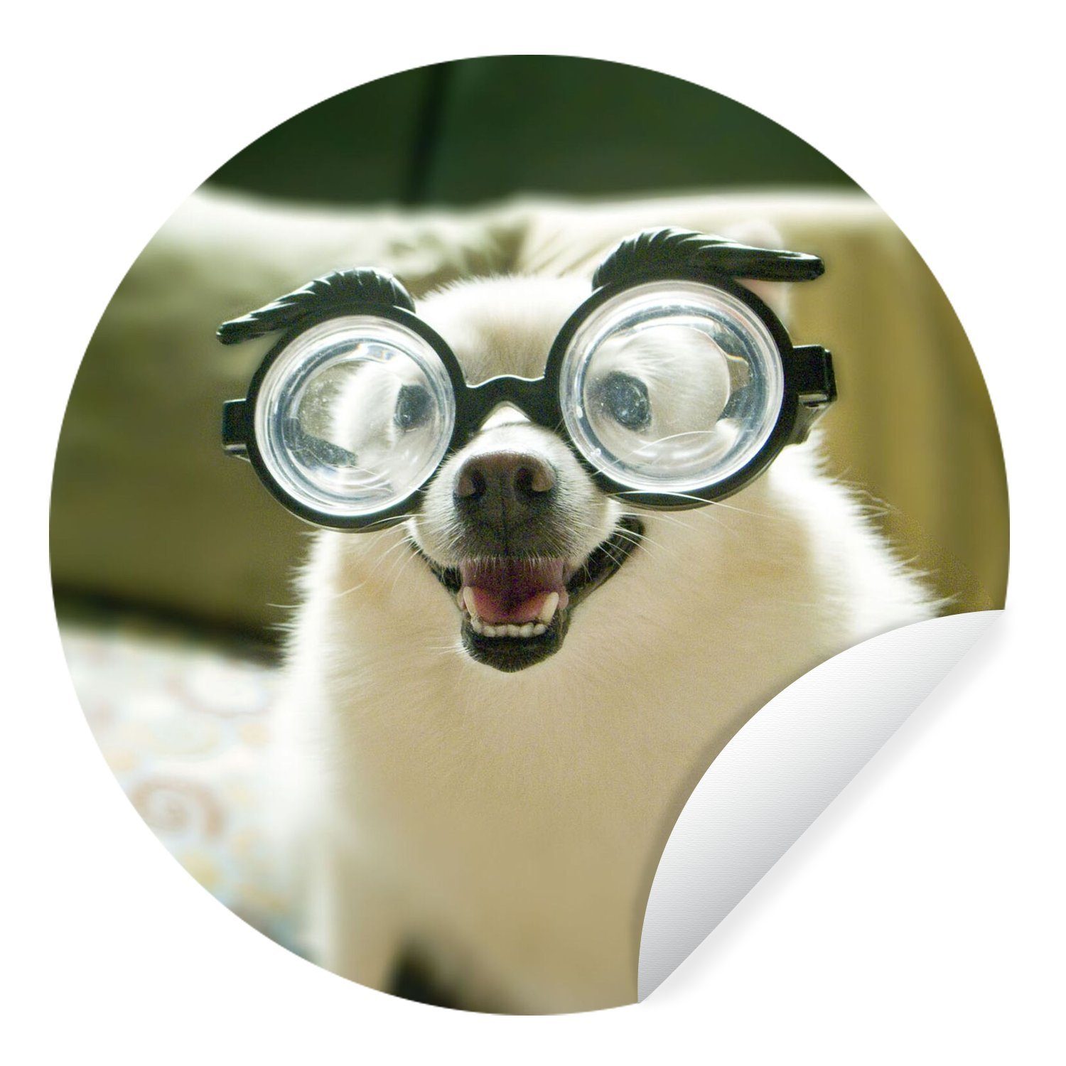MuchoWow Wandsticker Tier - Hund - Schutzbrille (1 St), Tapetenkreis für Kinderzimmer, Tapetenaufkleber, Rund, Wohnzimmer