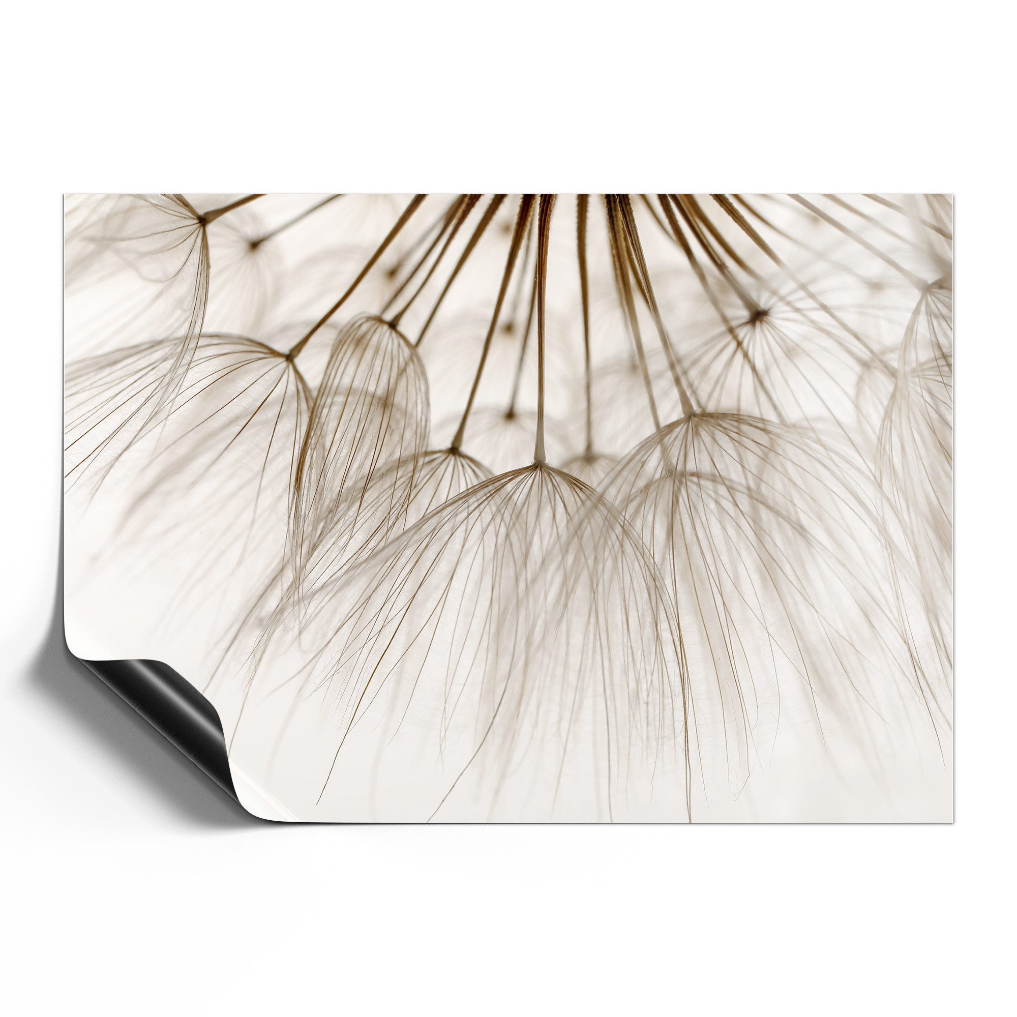 DEQORI Magnetfolie 'Pusteblumenpoesie', beschreibbar universal Magnetmatte magnetisch Folie Planer Kalender