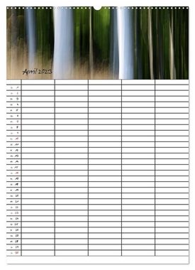 CALVENDO Wandkalender Mein Buchenwald - Familienplaner (Premium, hochwertiger DIN A2 Wandkalender 2023, Kunstdruck in Hochglanz)